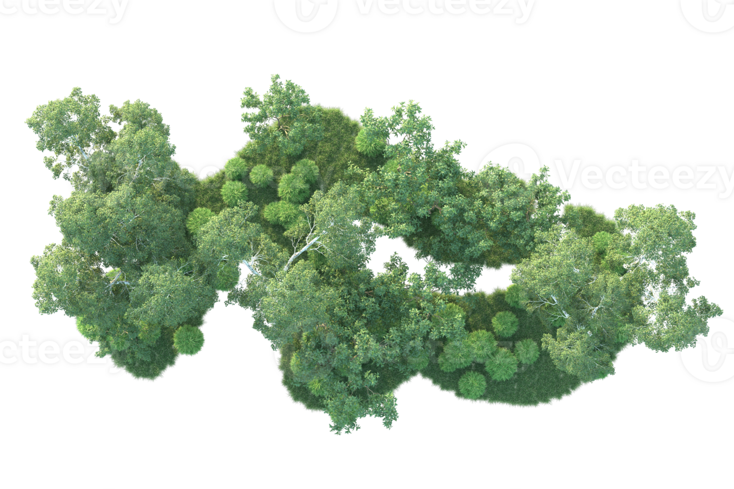 Tropical forest isolated on transparent background. 3d rendering - illustration png