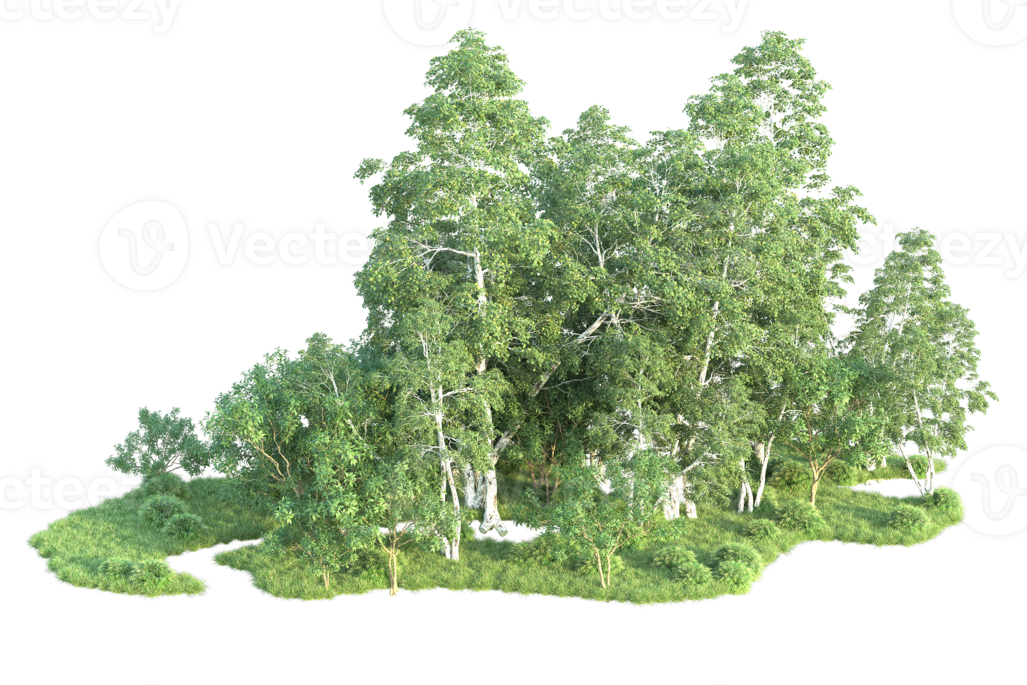 Tropical forest isolated on transparent background. 3d rendering - illustration png