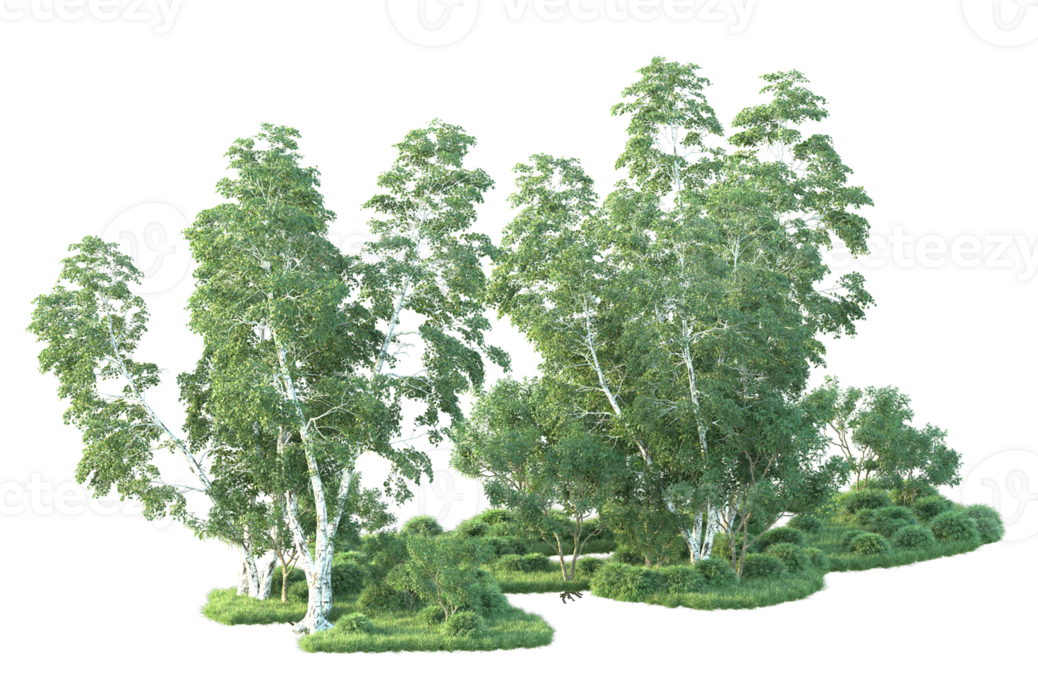 Tropical forest isolated on transparent background. 3d rendering - illustration png