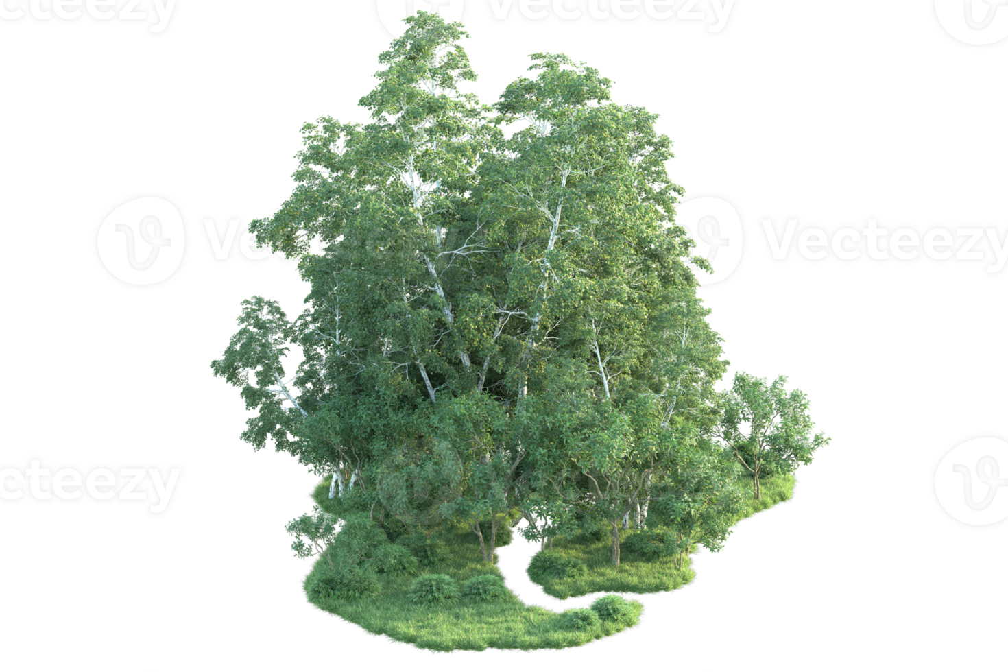 Tropical forest isolated on transparent background. 3d rendering - illustration png