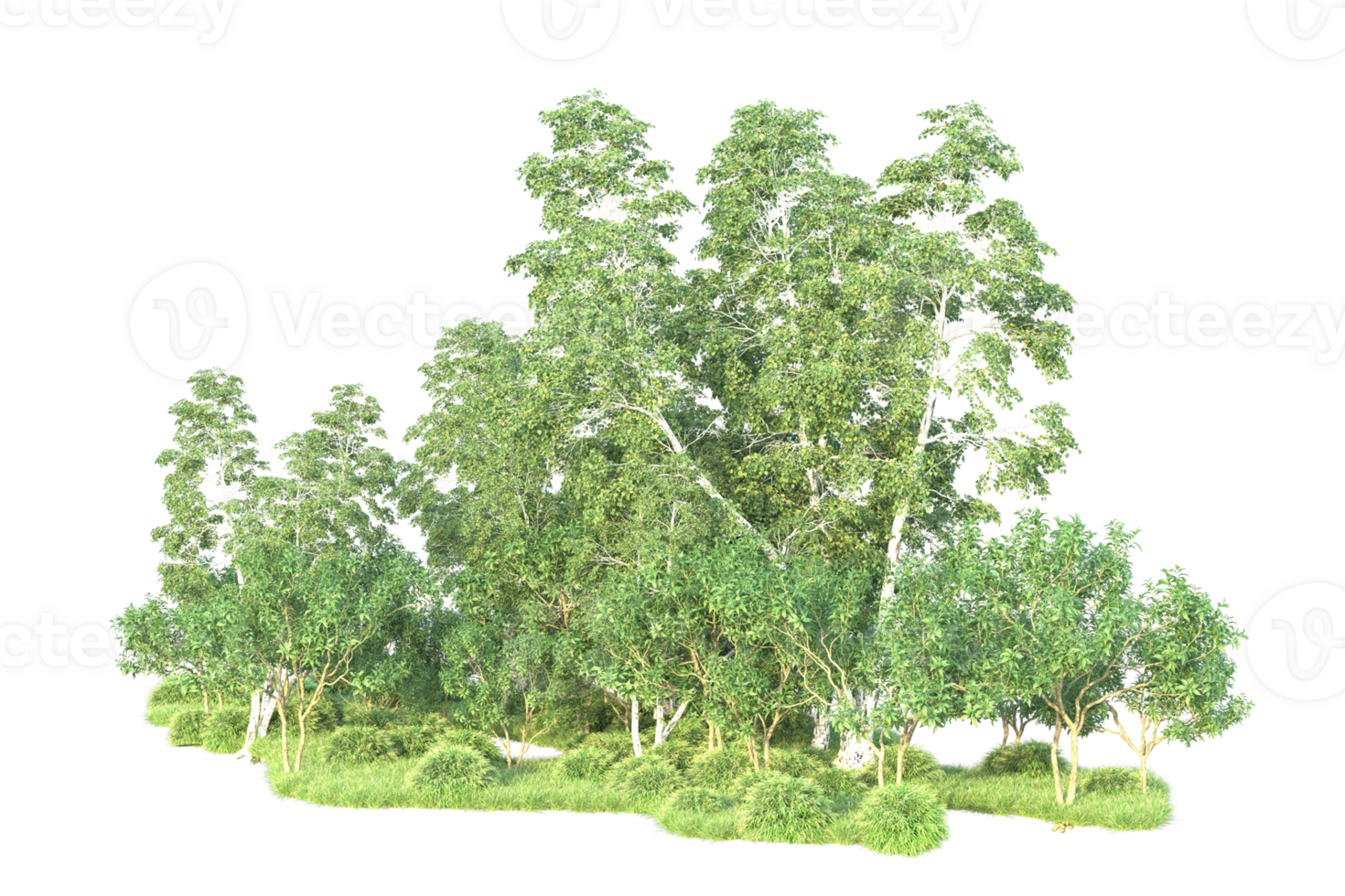 Tropical forest isolated on transparent background. 3d rendering - illustration png