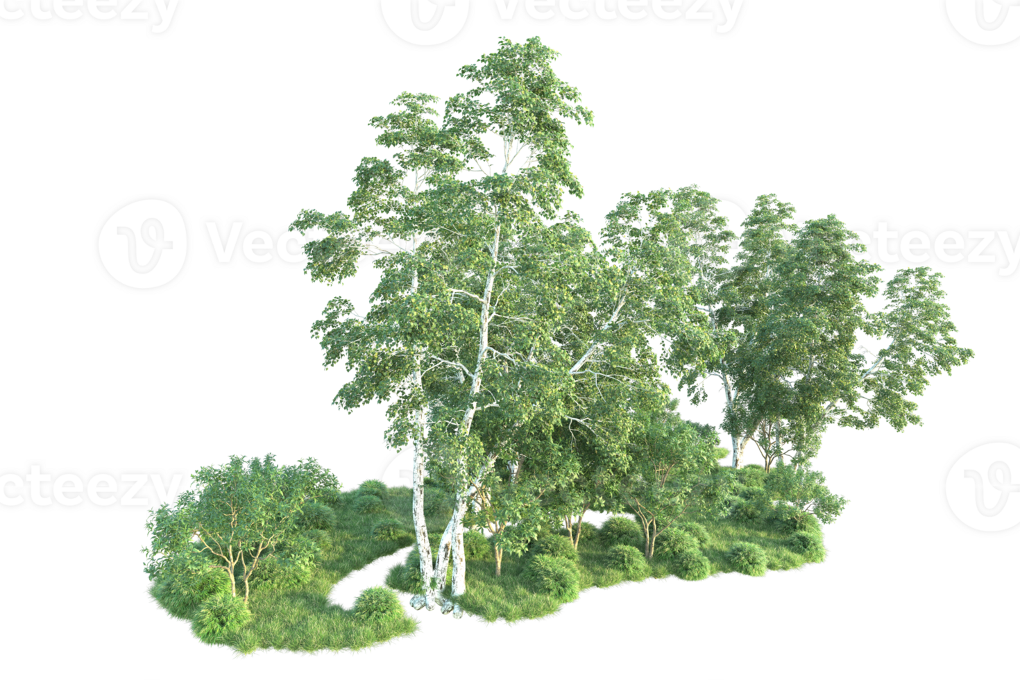Tropical forest isolated on transparent background. 3d rendering - illustration png