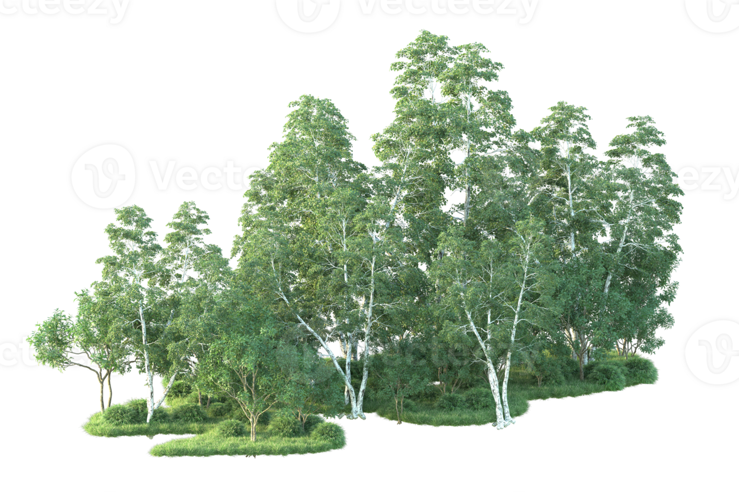 Tropical forest isolated on transparent background. 3d rendering - illustration png