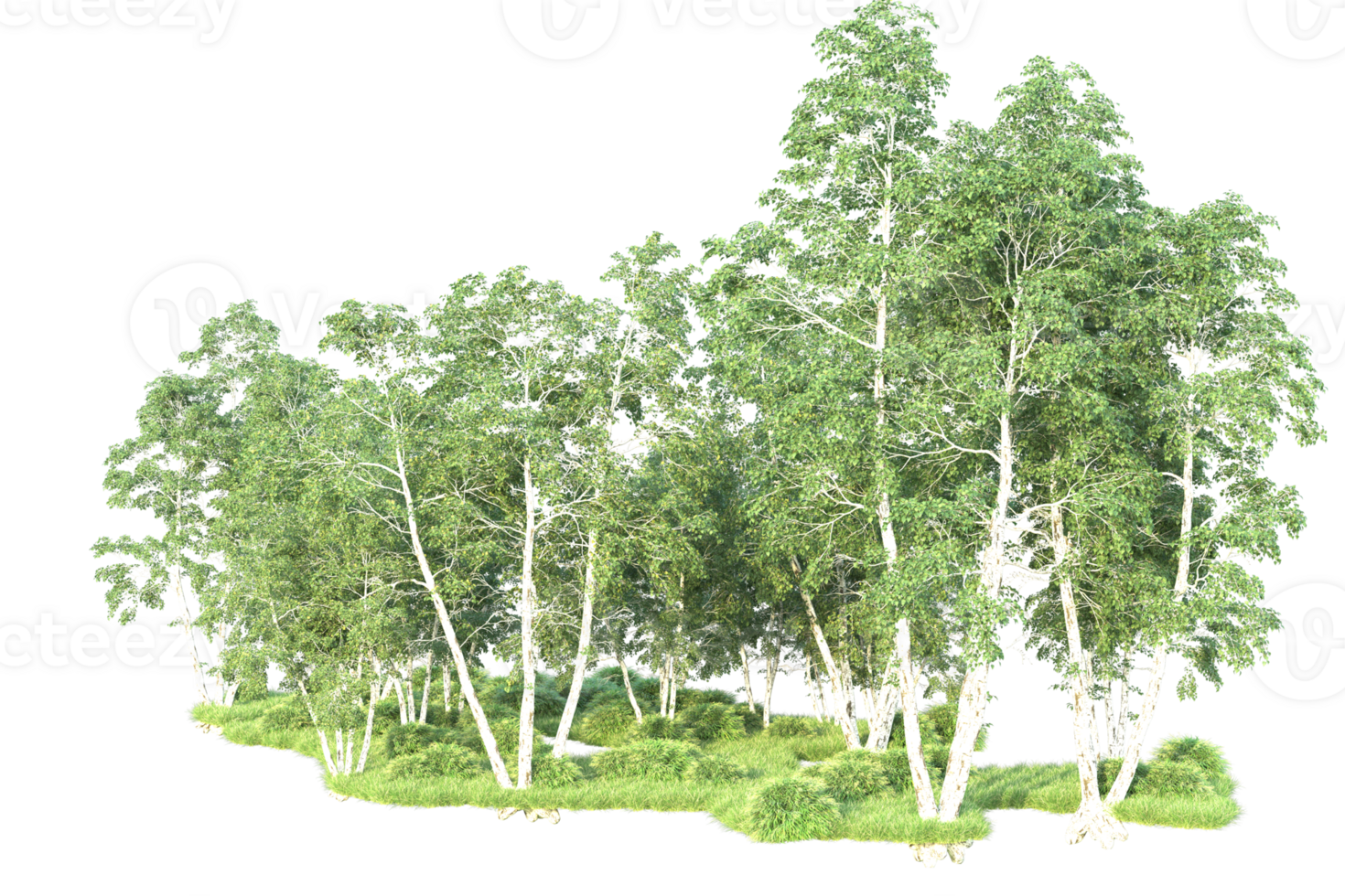 Tropical forest isolated on transparent background. 3d rendering - illustration png