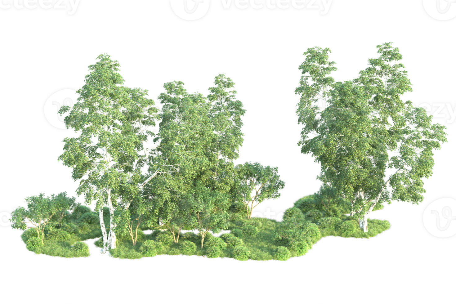 Tropical forest isolated on transparent background. 3d rendering - illustration png