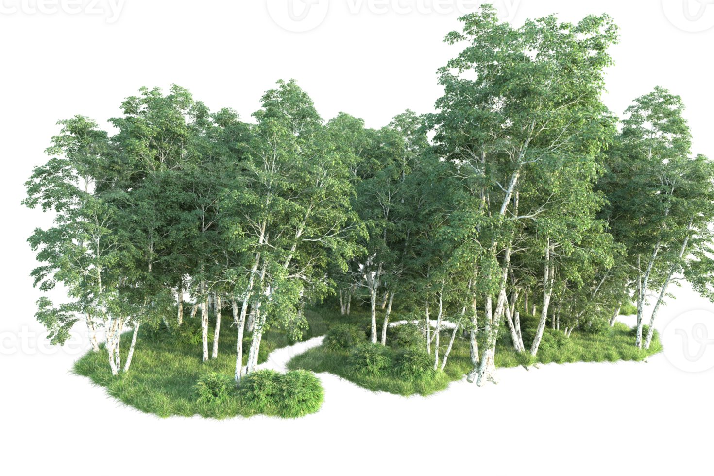 Tropical forest isolated on transparent background. 3d rendering - illustration png