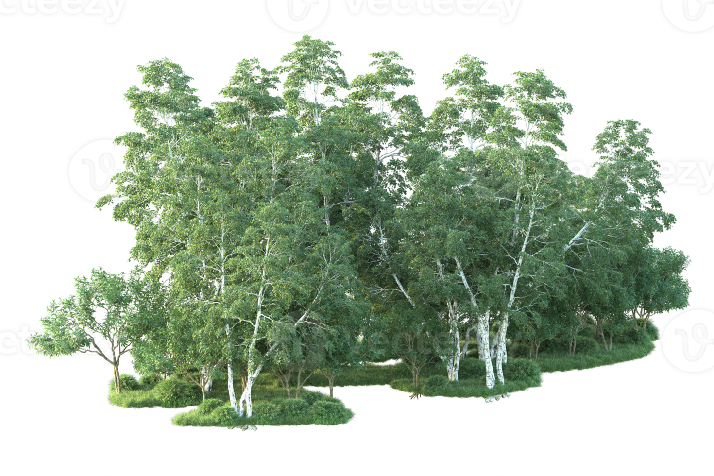 Tropical forest isolated on transparent background. 3d rendering - illustration png