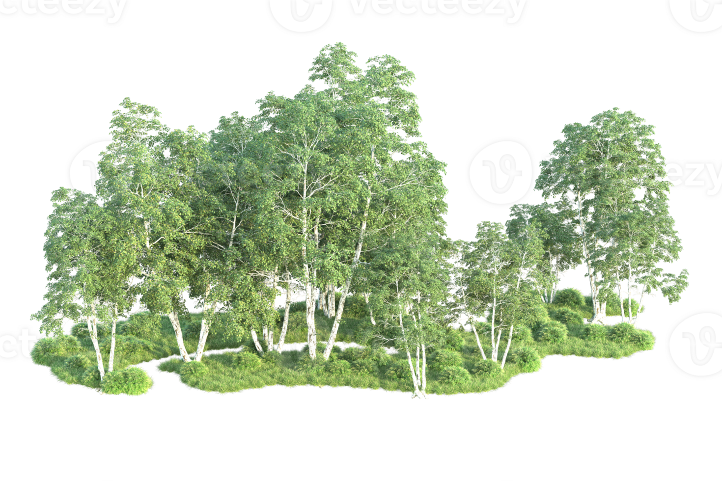 Tropical forest isolated on transparent background. 3d rendering - illustration png