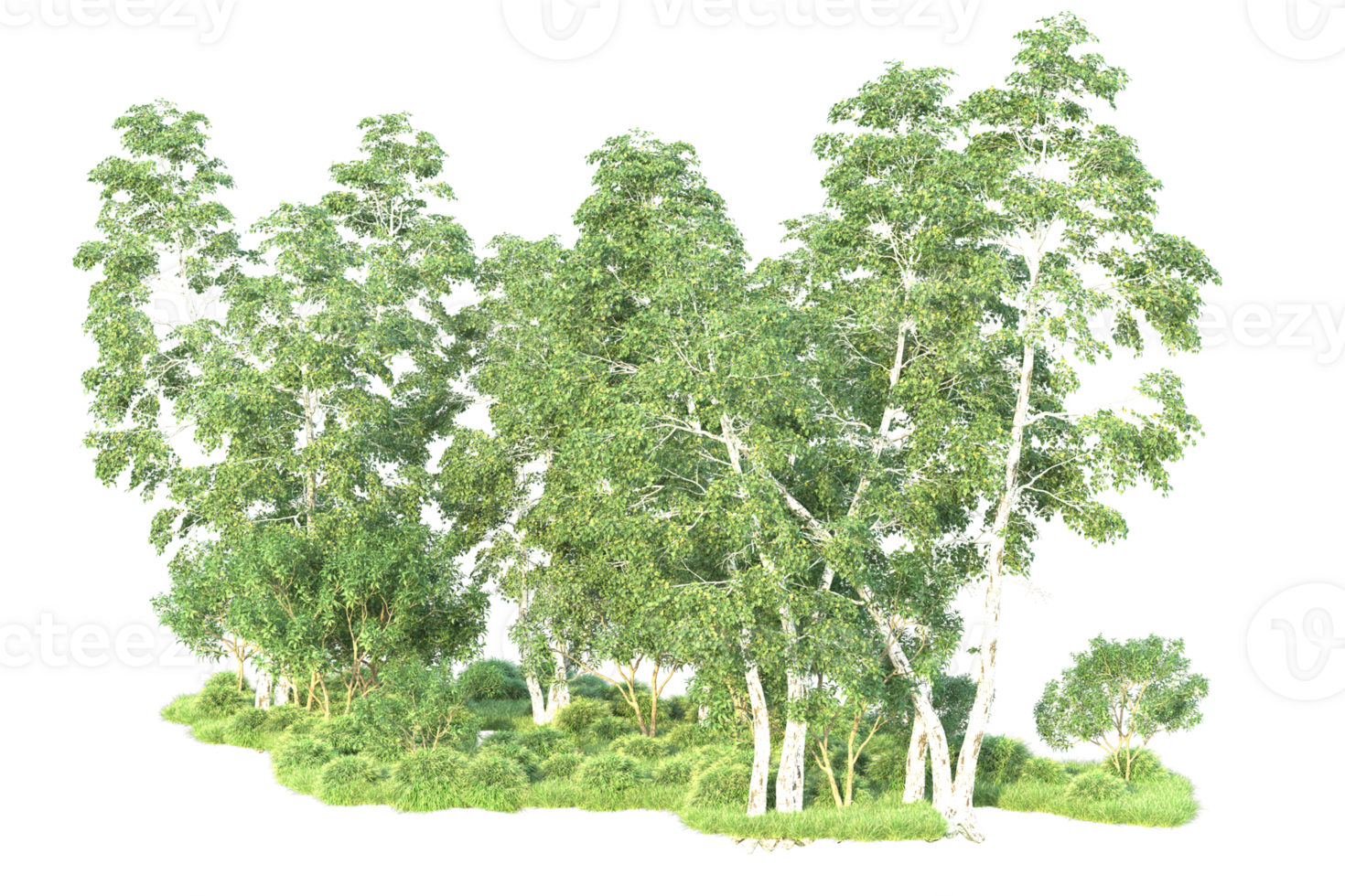 Tropical forest isolated on transparent background. 3d rendering - illustration png