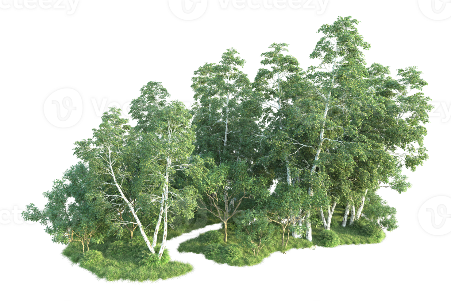 Tropical forest isolated on transparent background. 3d rendering - illustration png