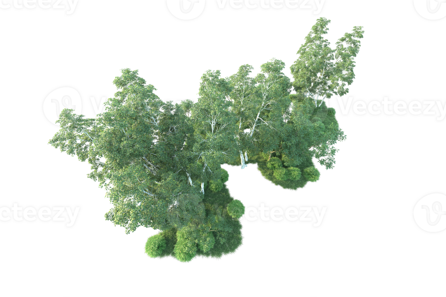 Tropical forest isolated on transparent background. 3d rendering - illustration png