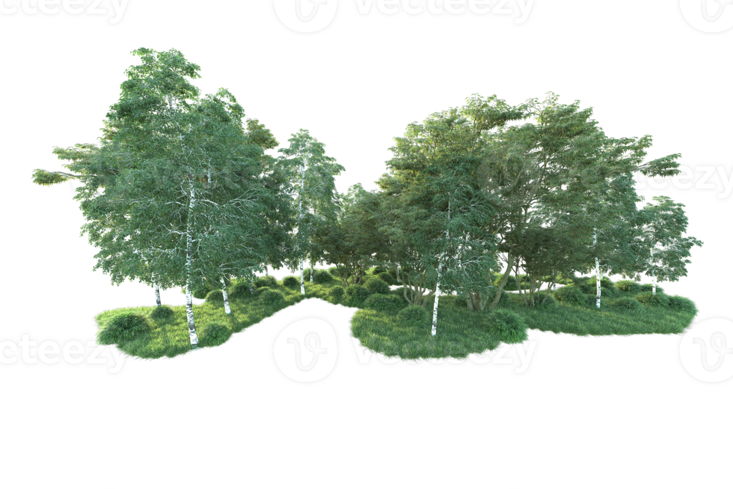 Tropical forest isolated on transparent background. 3d rendering - illustration png