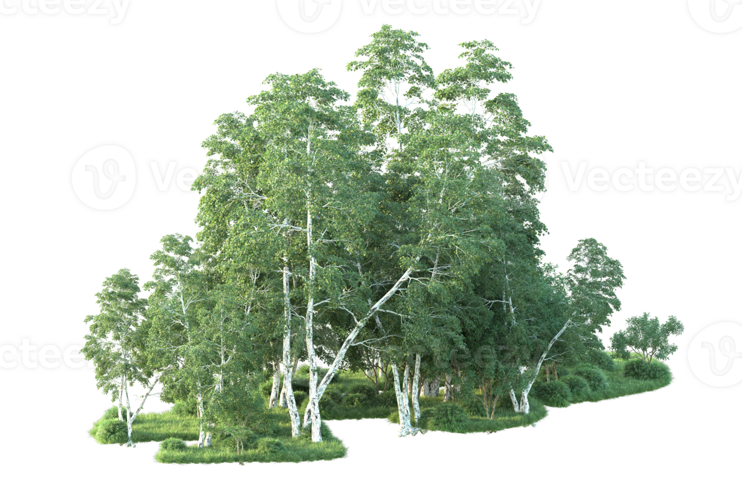 Tropical forest isolated on transparent background. 3d rendering - illustration png