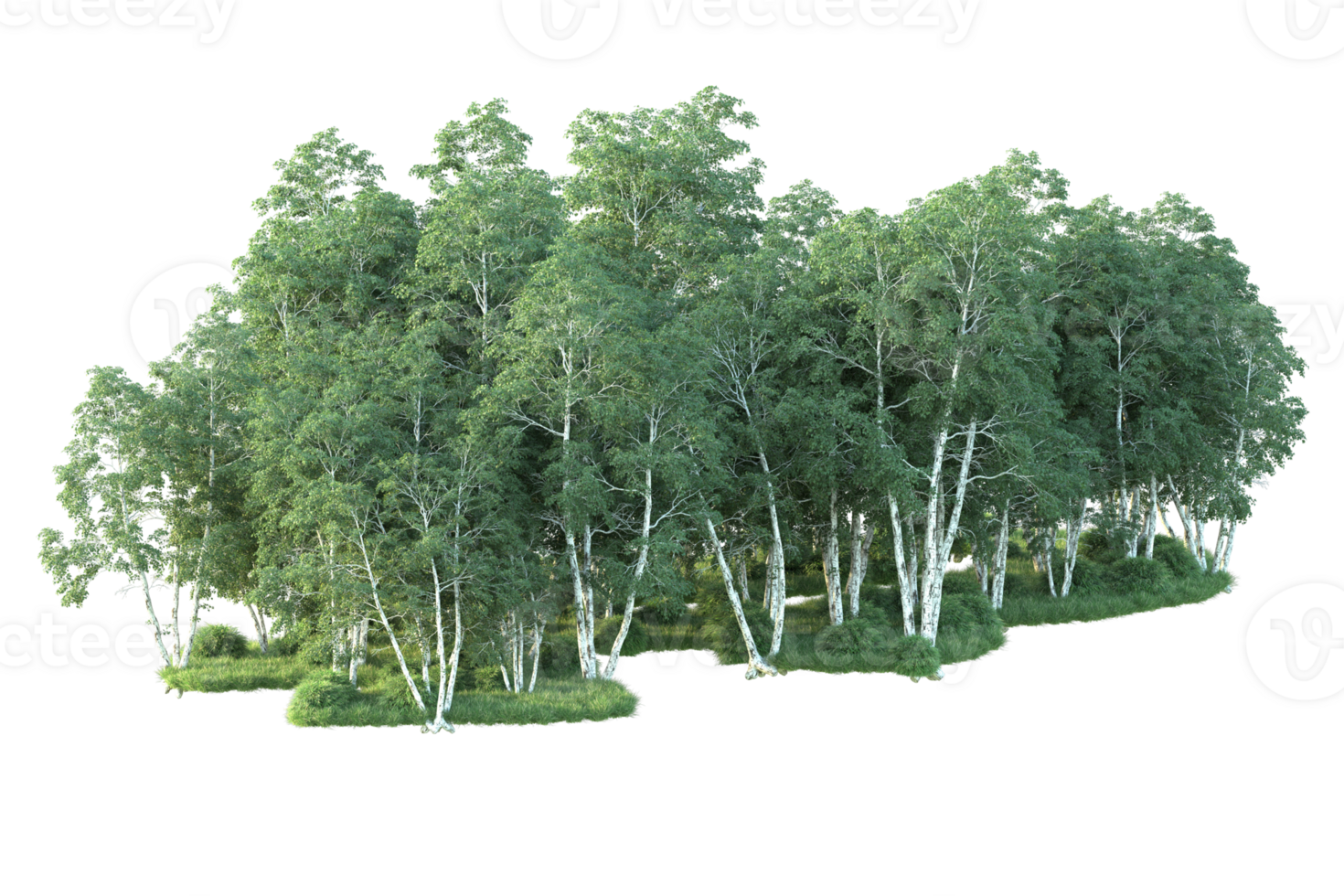 Tropical forest isolated on transparent background. 3d rendering - illustration png