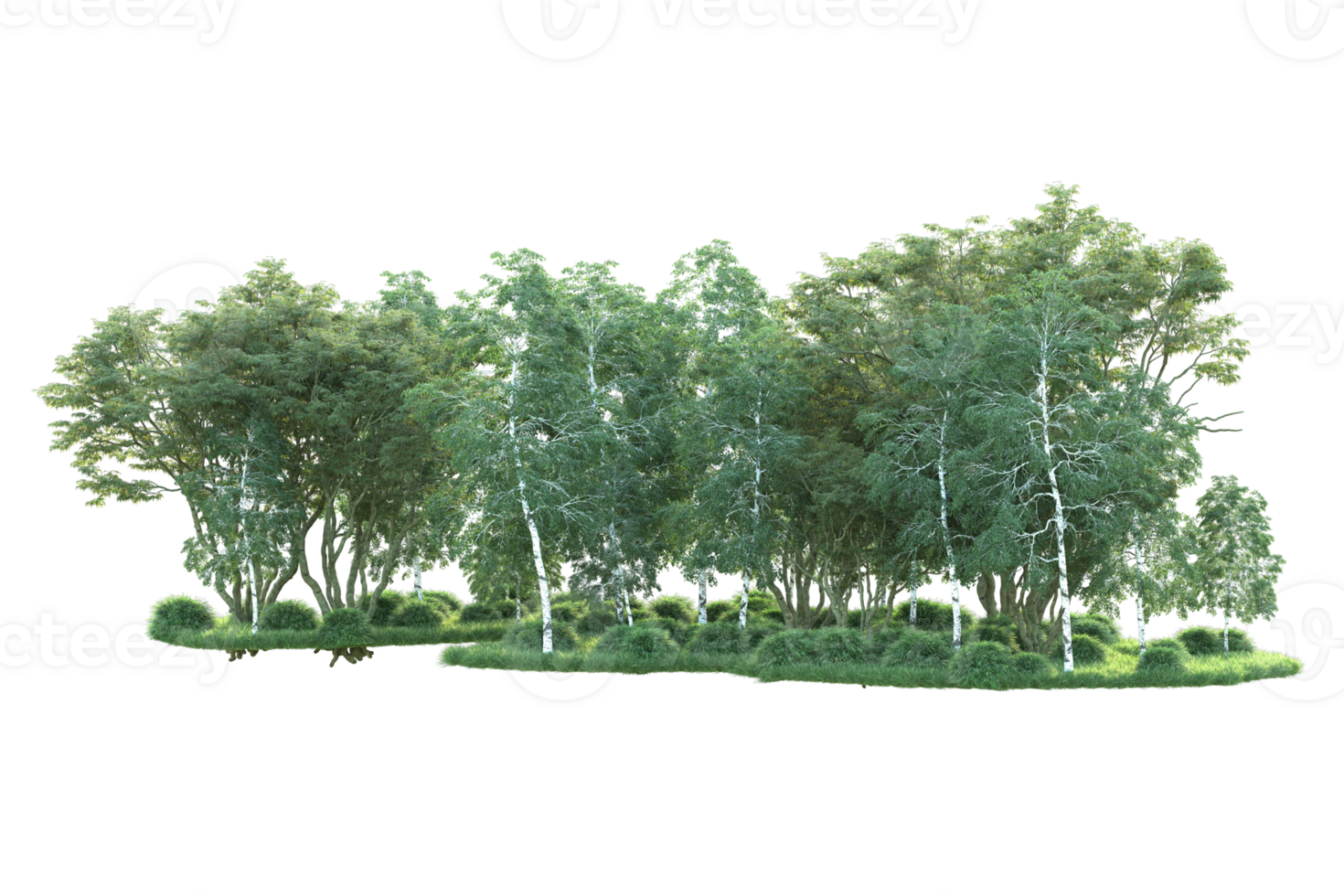 Tropical forest isolated on transparent background. 3d rendering - illustration png