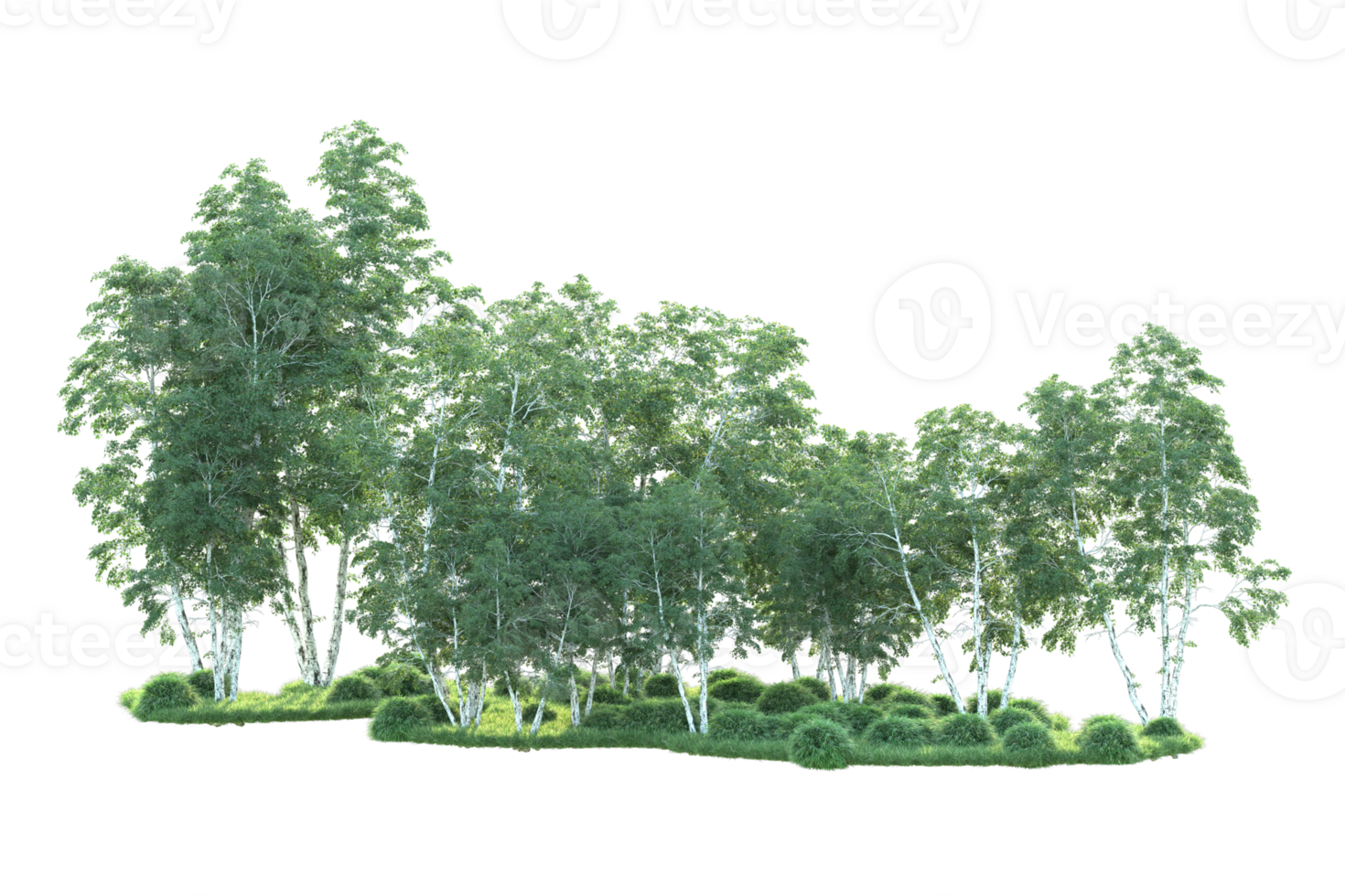 Tropical forest isolated on transparent background. 3d rendering - illustration png