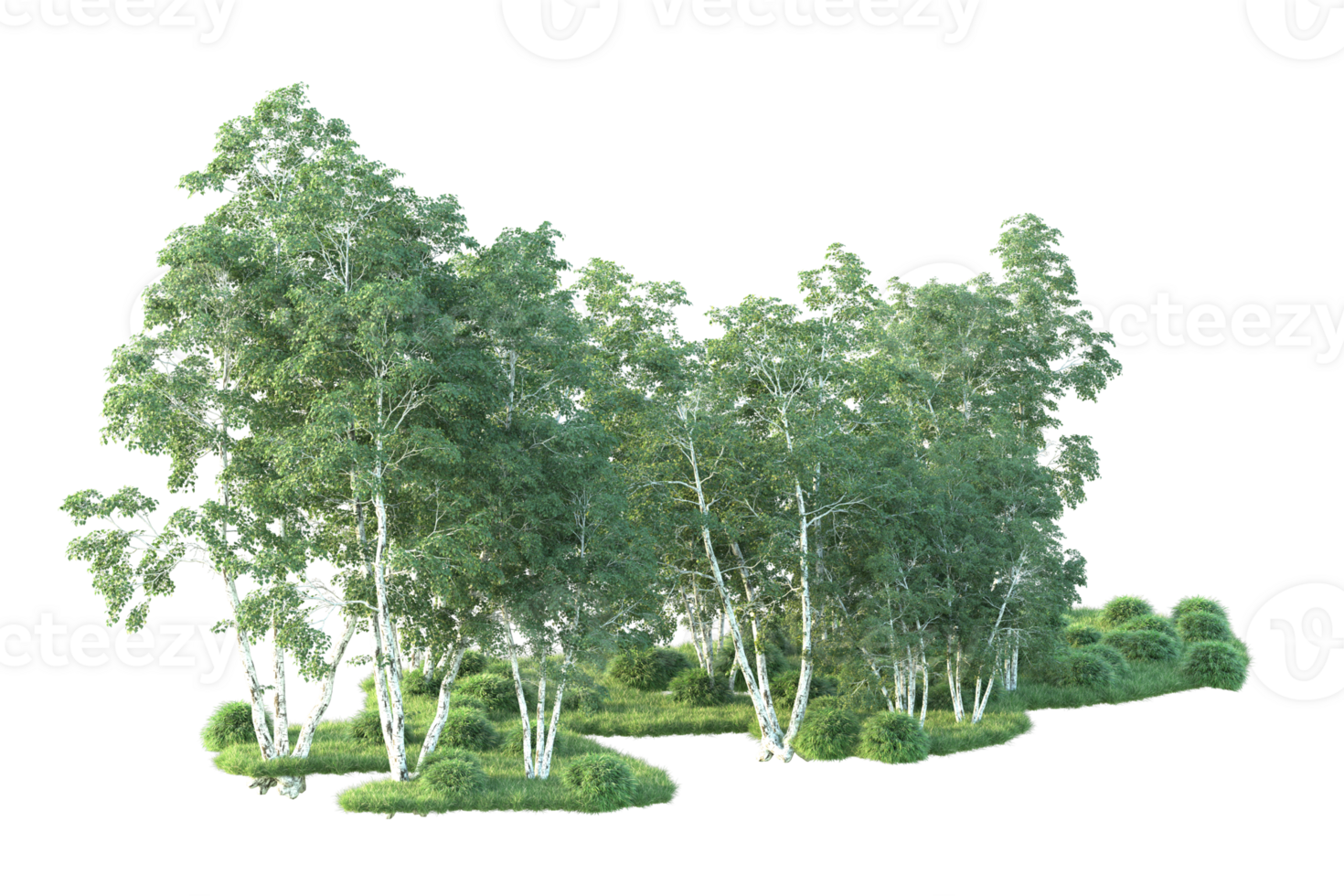 Tropical forest isolated on transparent background. 3d rendering - illustration png