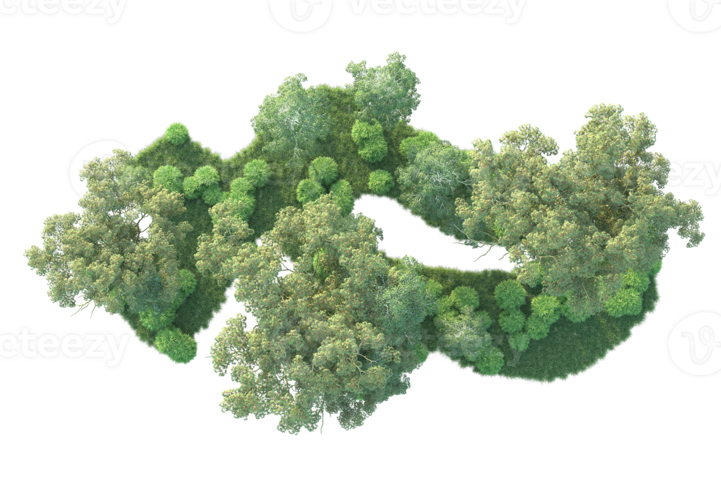 Tropical forest isolated on transparent background. 3d rendering - illustration png