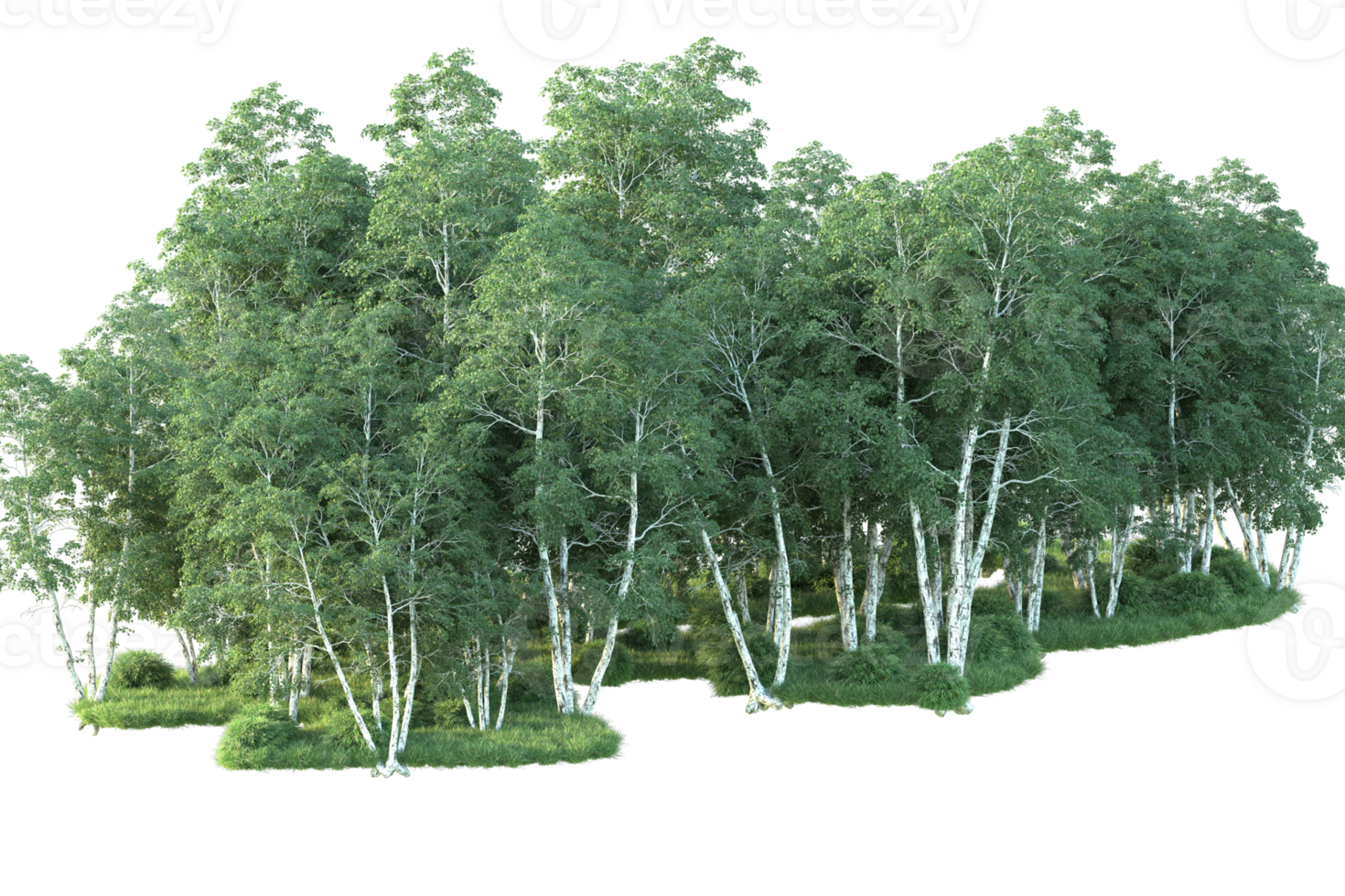 Tropical forest isolated on transparent background. 3d rendering - illustration png