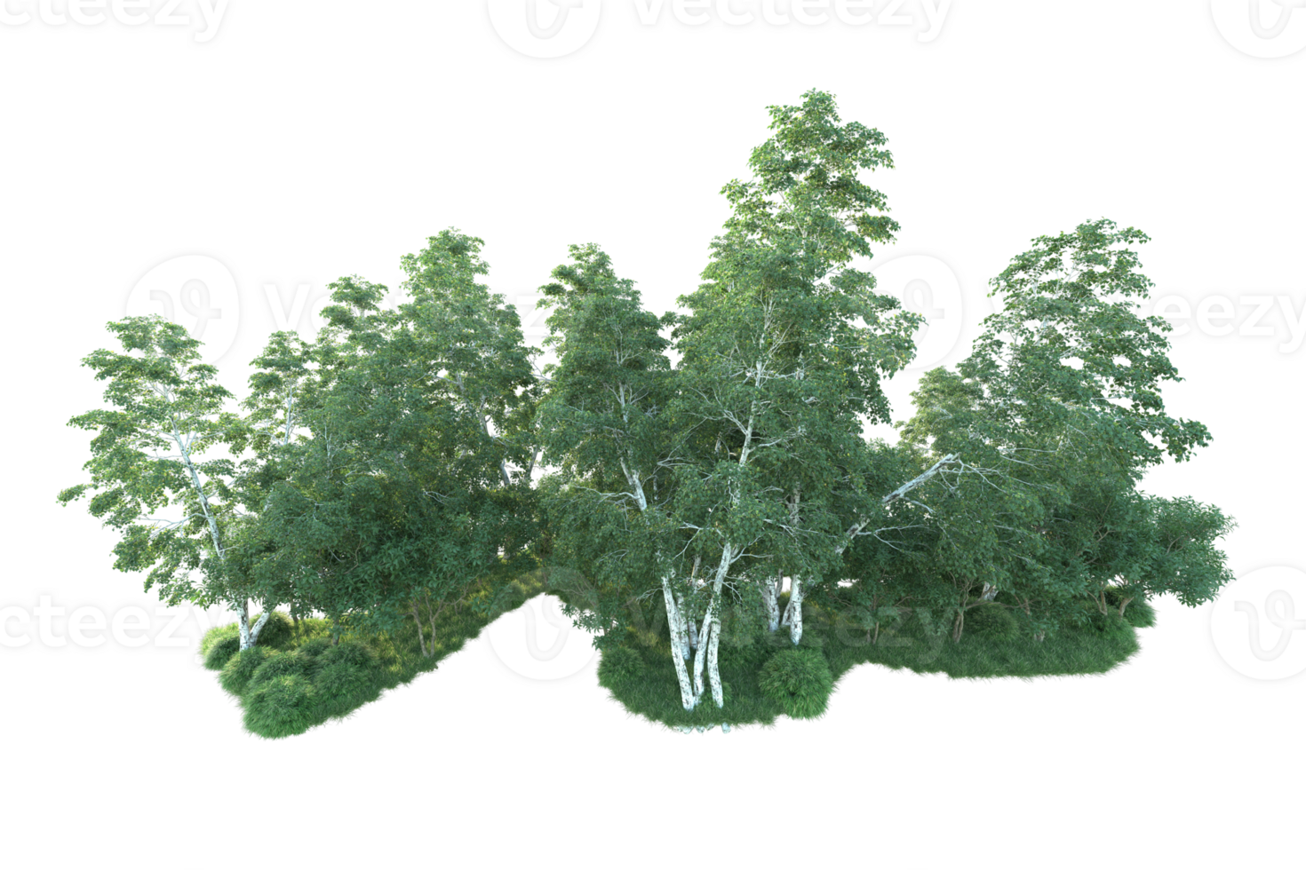 Tropical forest isolated on transparent background. 3d rendering - illustration png