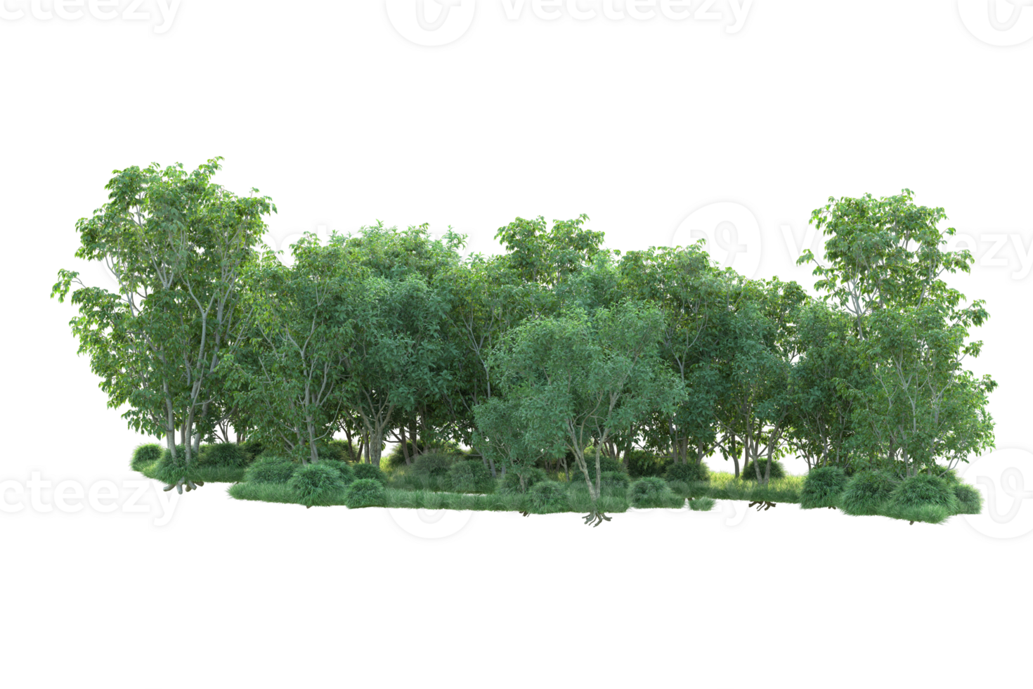 Tropical forest isolated on transparent background. 3d rendering - illustration png