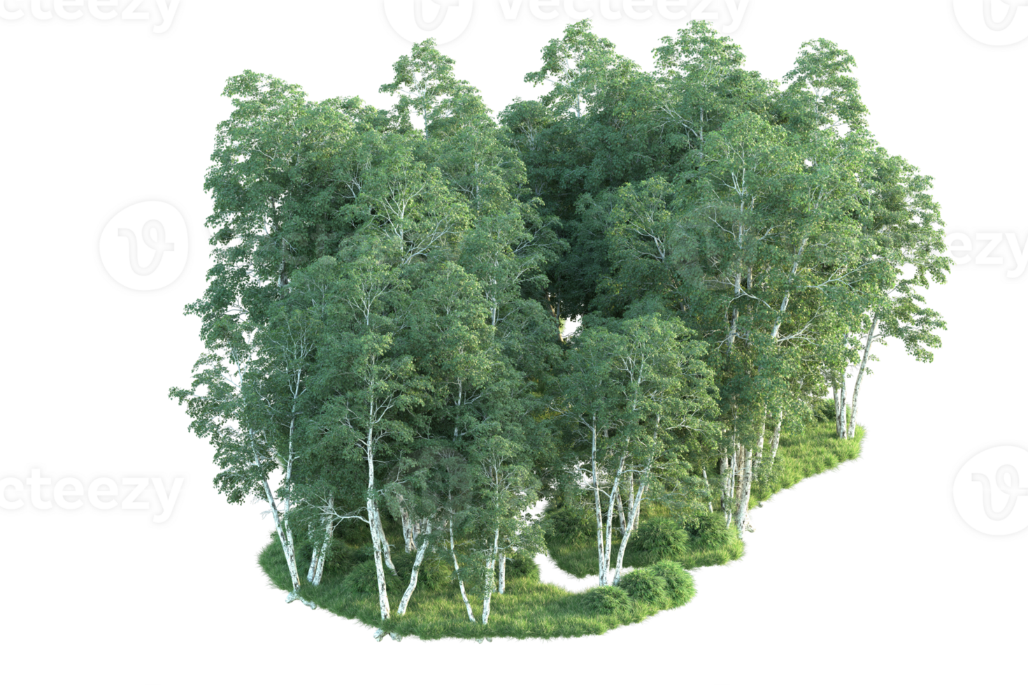 Tropical forest isolated on transparent background. 3d rendering - illustration png