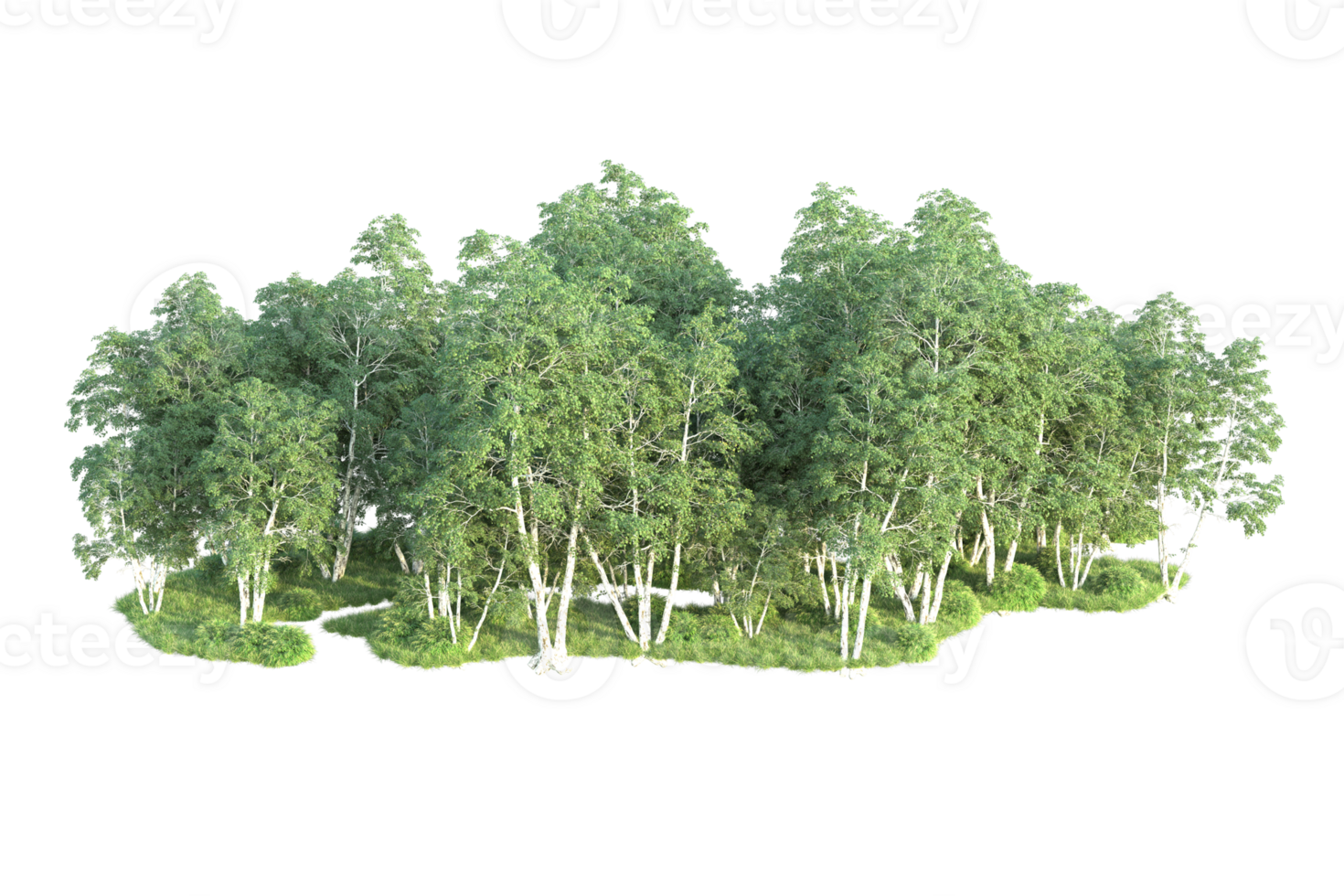 Tropical forest isolated on transparent background. 3d rendering - illustration png