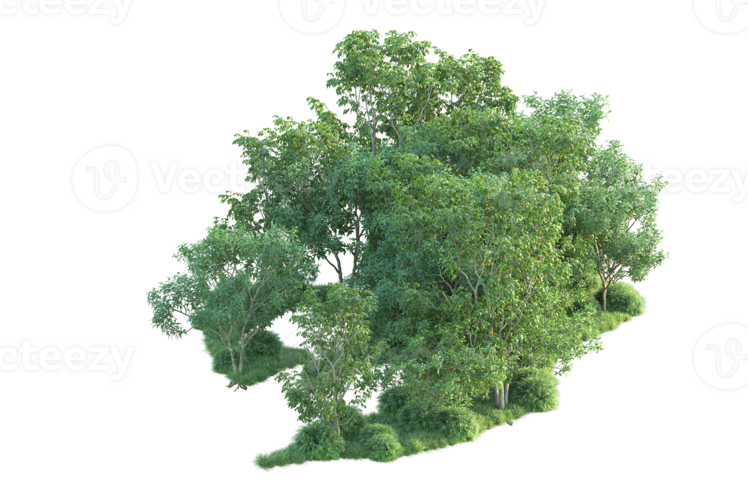 Tropical forest isolated on transparent background. 3d rendering - illustration png