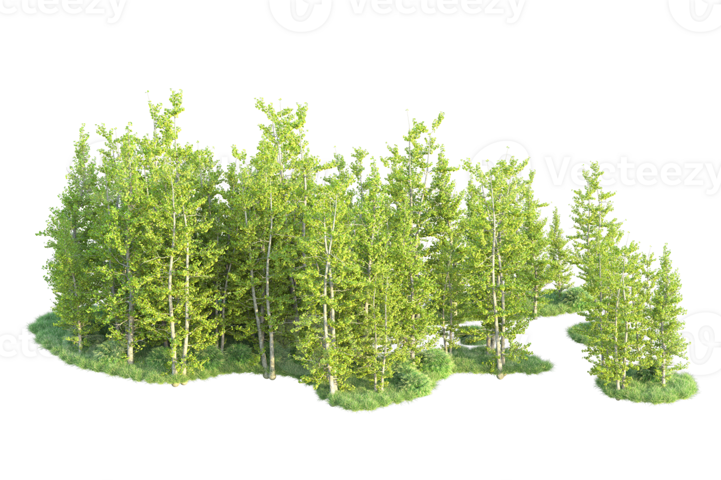 Tropical forest isolated on transparent background. 3d rendering - illustration png