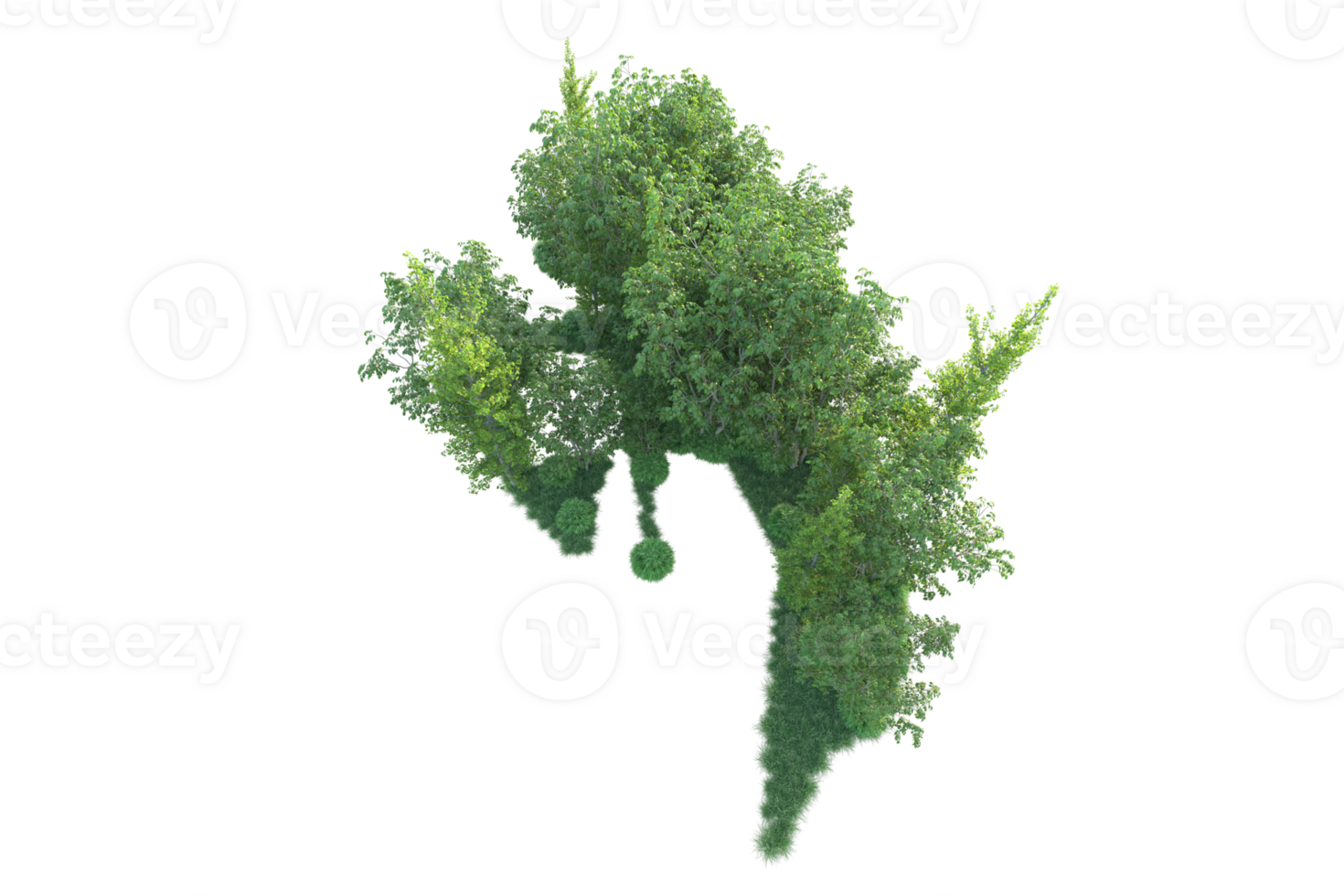 Tropical forest isolated on transparent background. 3d rendering - illustration png