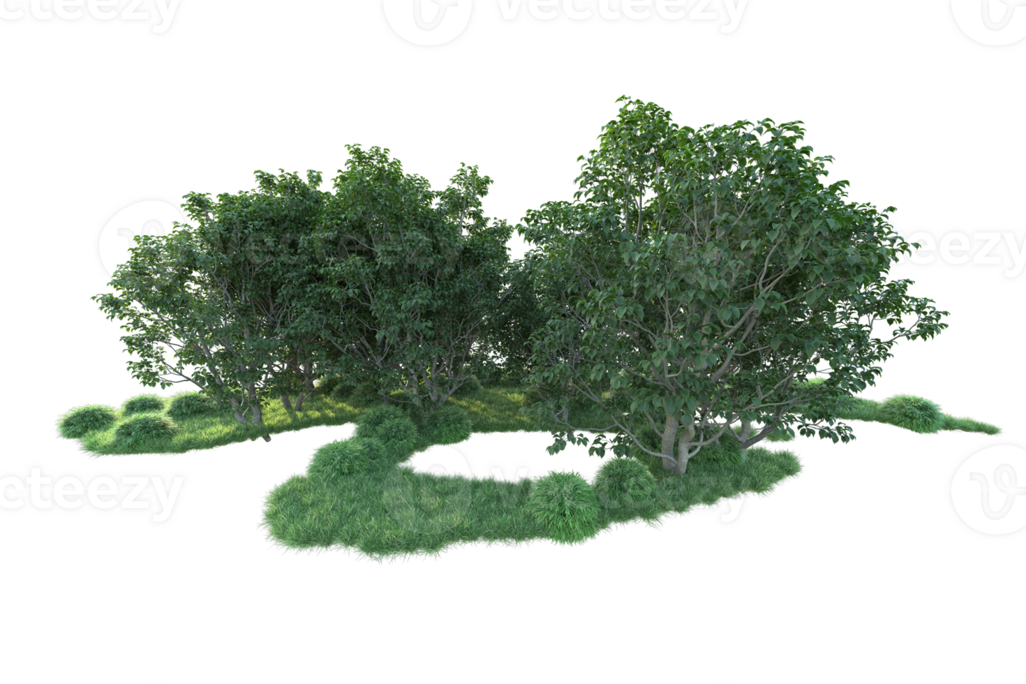 Tropical forest isolated on transparent background. 3d rendering - illustration png