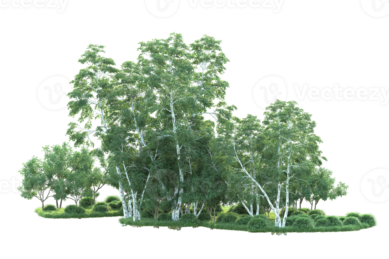 Tropical forest isolated on transparent background. 3d rendering - illustration png