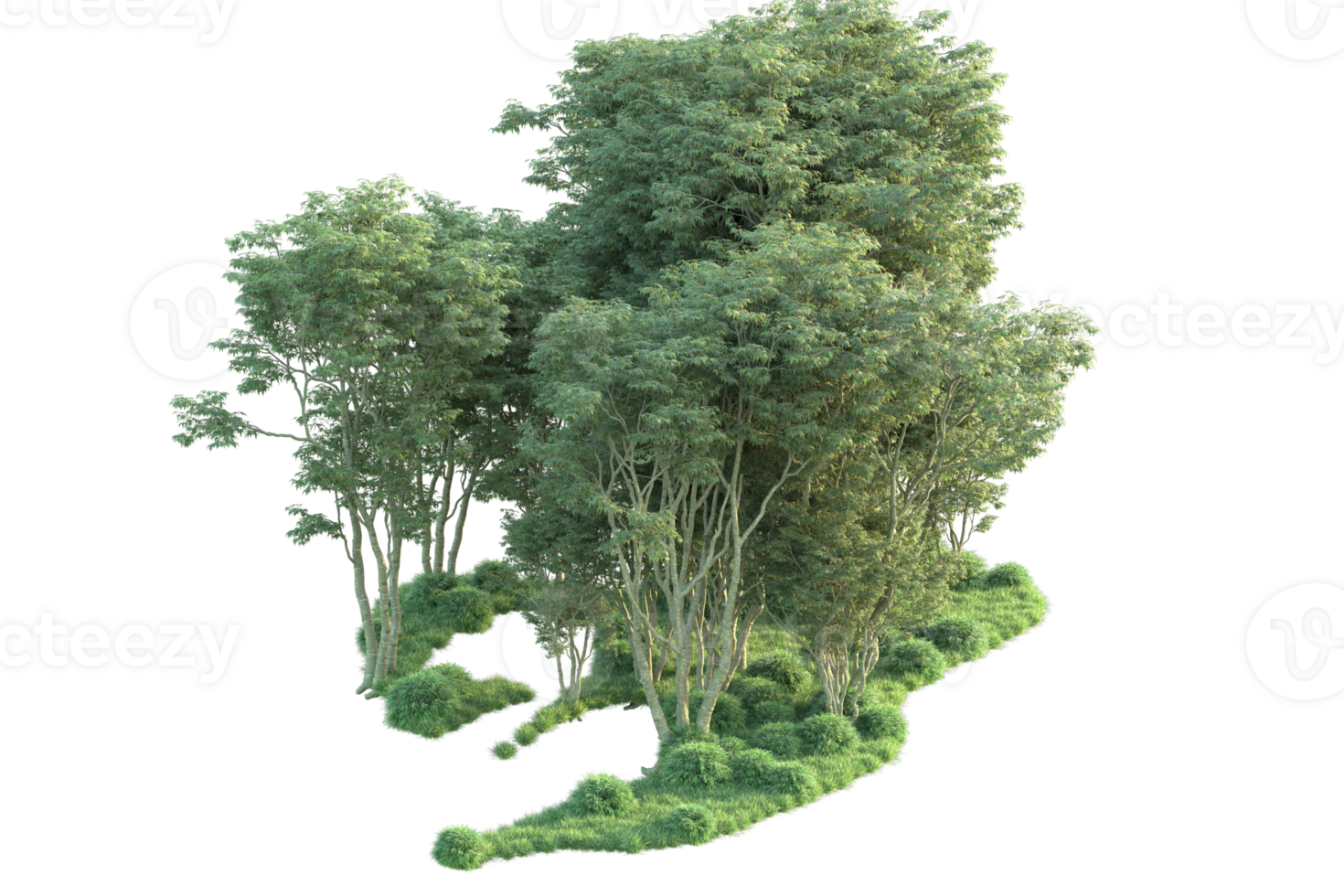 Tropical forest isolated on transparent background. 3d rendering - illustration png