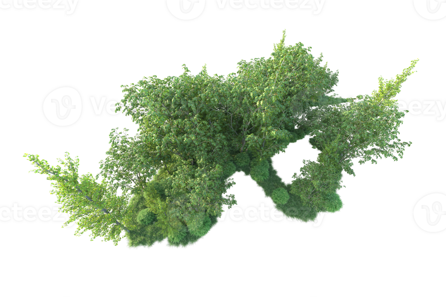Tropical forest isolated on transparent background. 3d rendering - illustration png