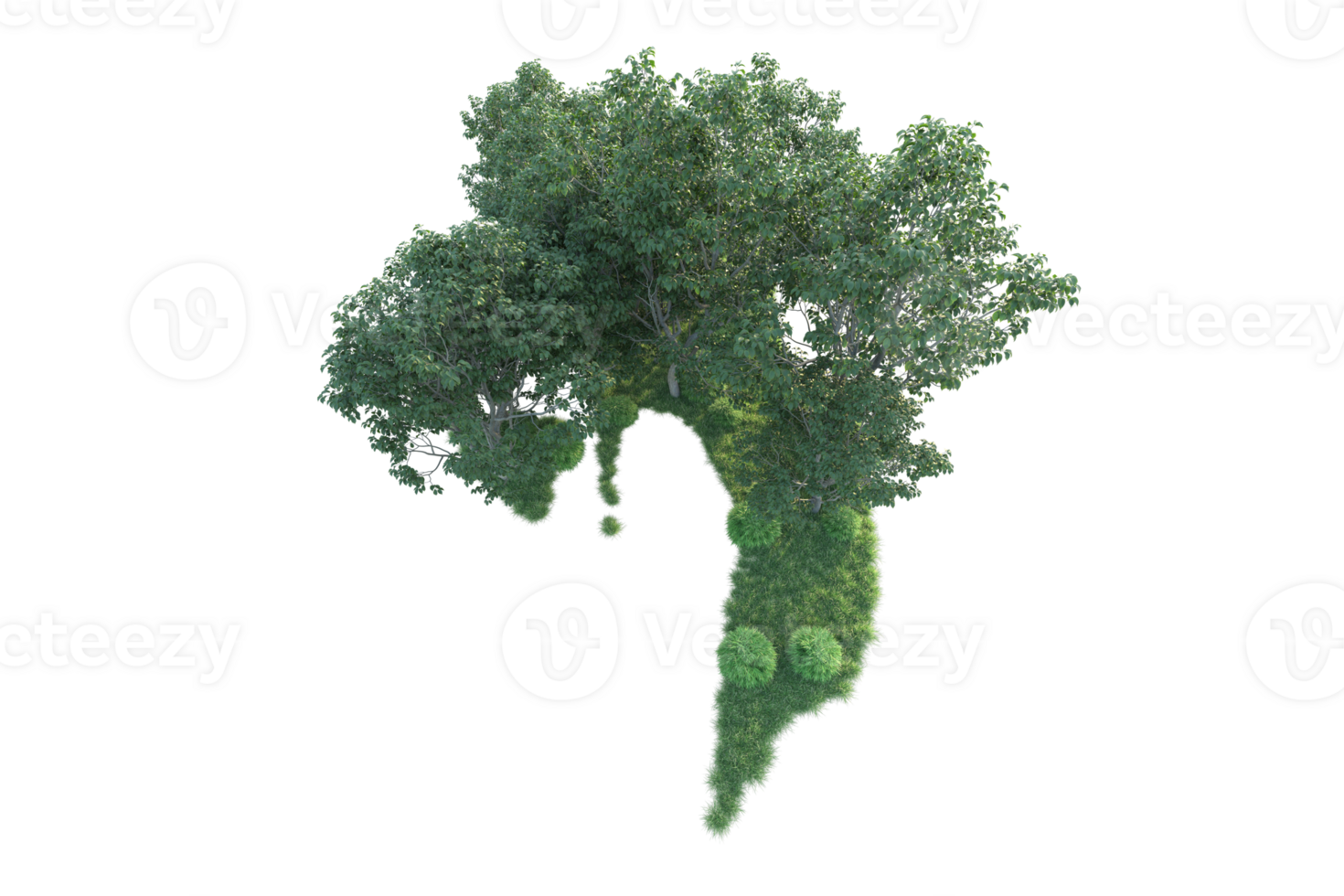 Tropical forest isolated on transparent background. 3d rendering - illustration png