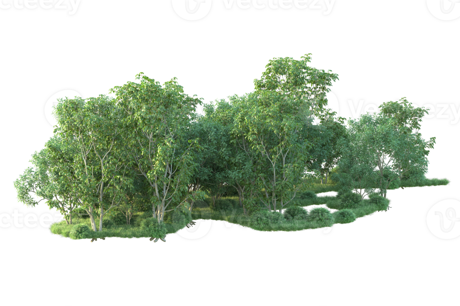 Tropical forest isolated on transparent background. 3d rendering - illustration png