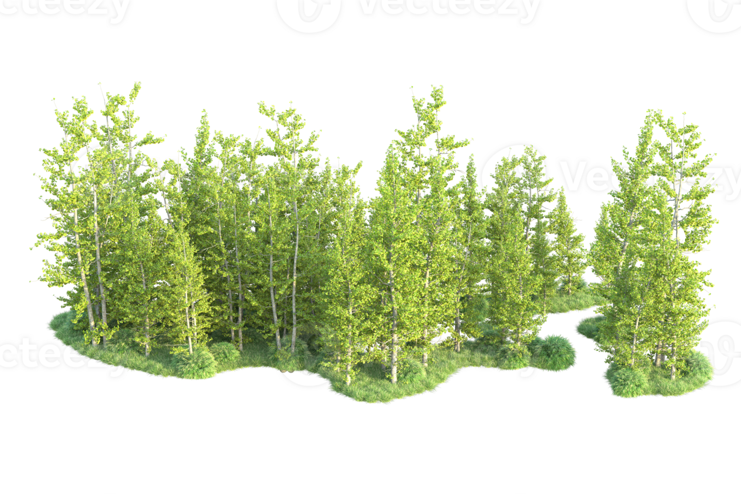 Tropical forest isolated on transparent background. 3d rendering - illustration png