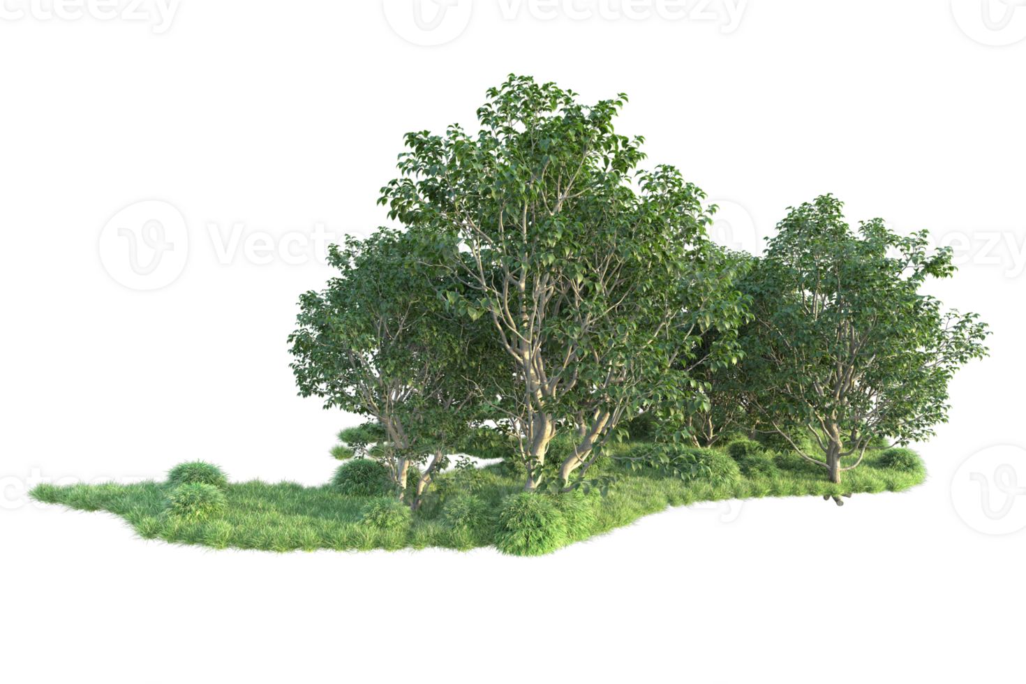 Tropical forest isolated on transparent background. 3d rendering - illustration png