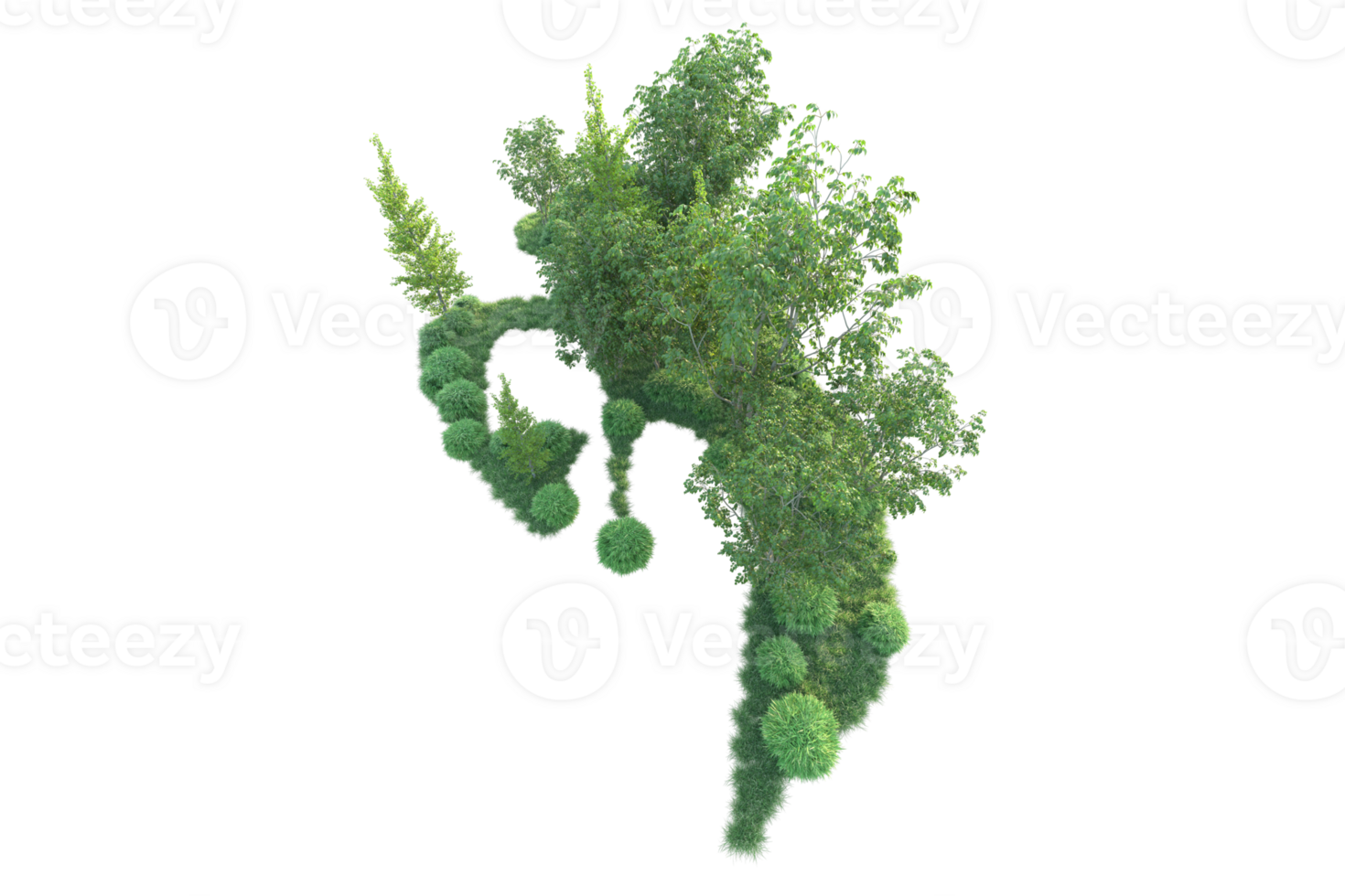 Tropical forest isolated on transparent background. 3d rendering - illustration png
