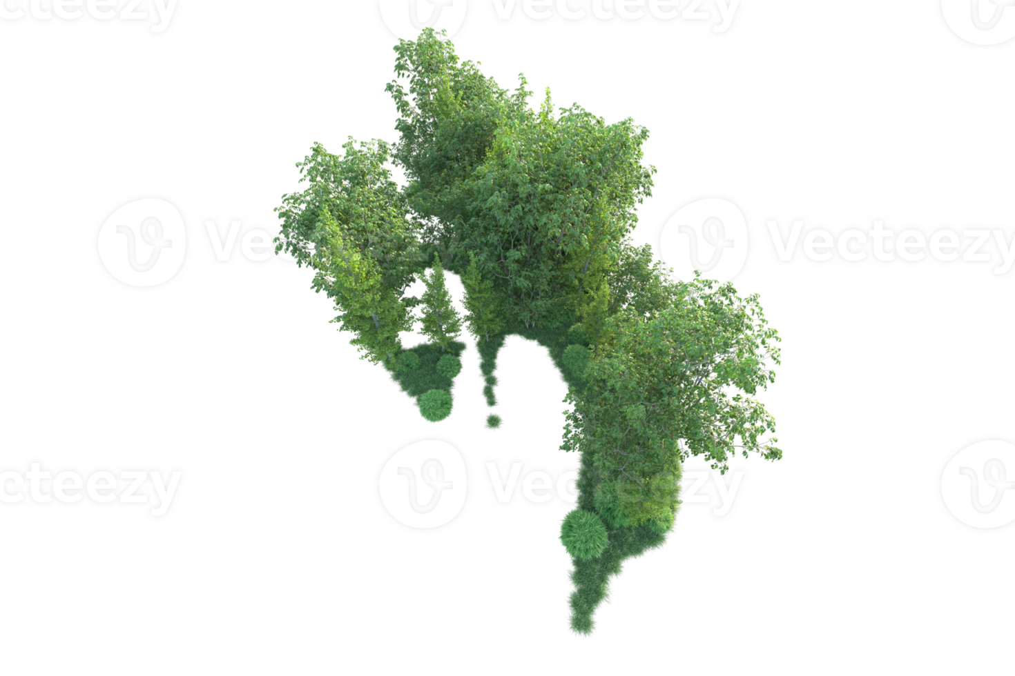 Tropical forest isolated on transparent background. 3d rendering - illustration png