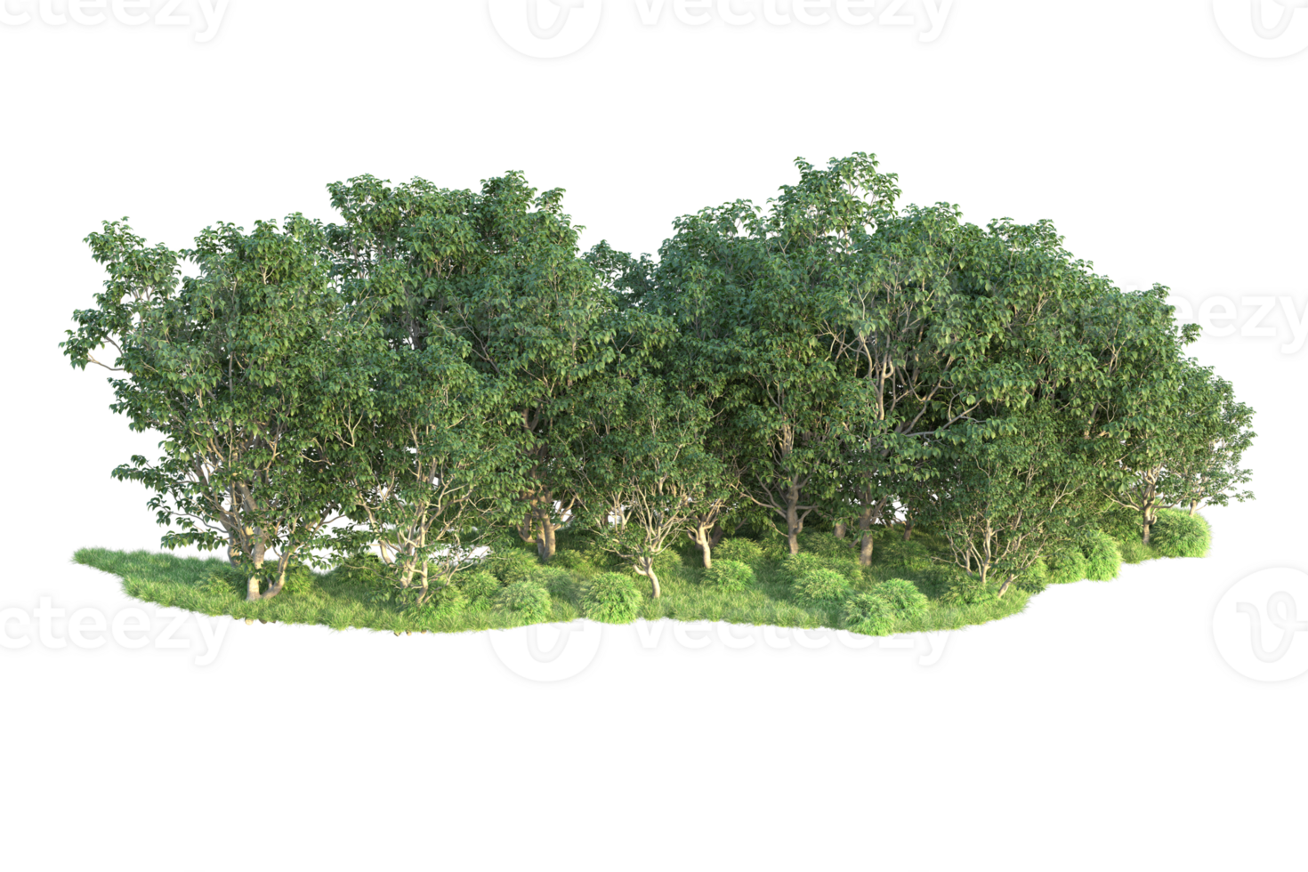 Tropical forest isolated on transparent background. 3d rendering - illustration png