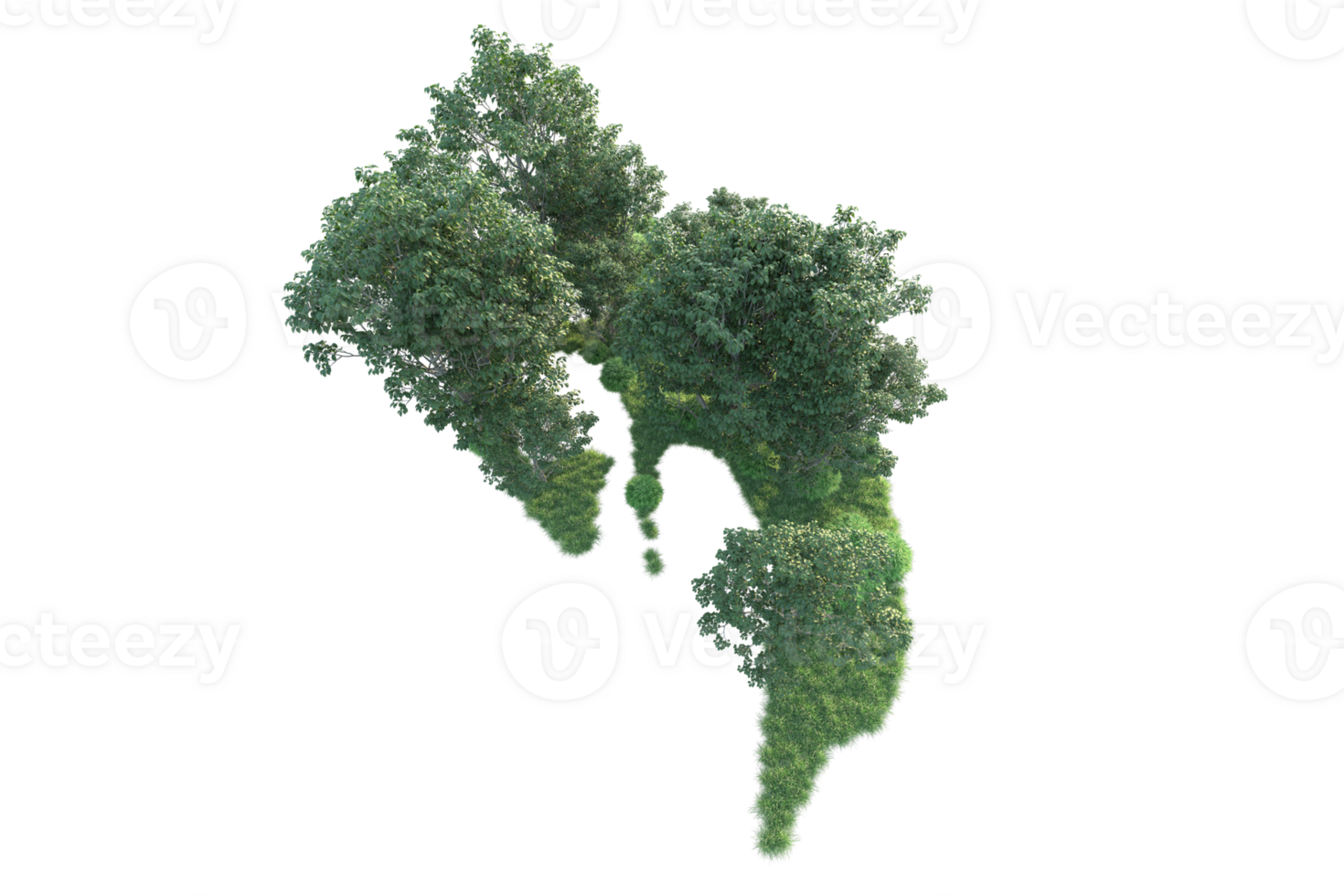 Tropical forest isolated on transparent background. 3d rendering - illustration png