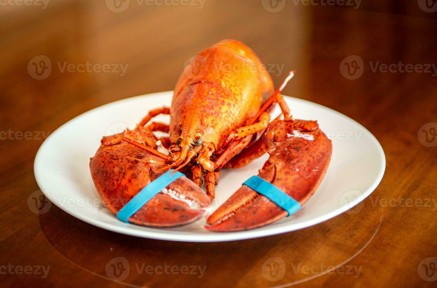 New England Main Lobster photo