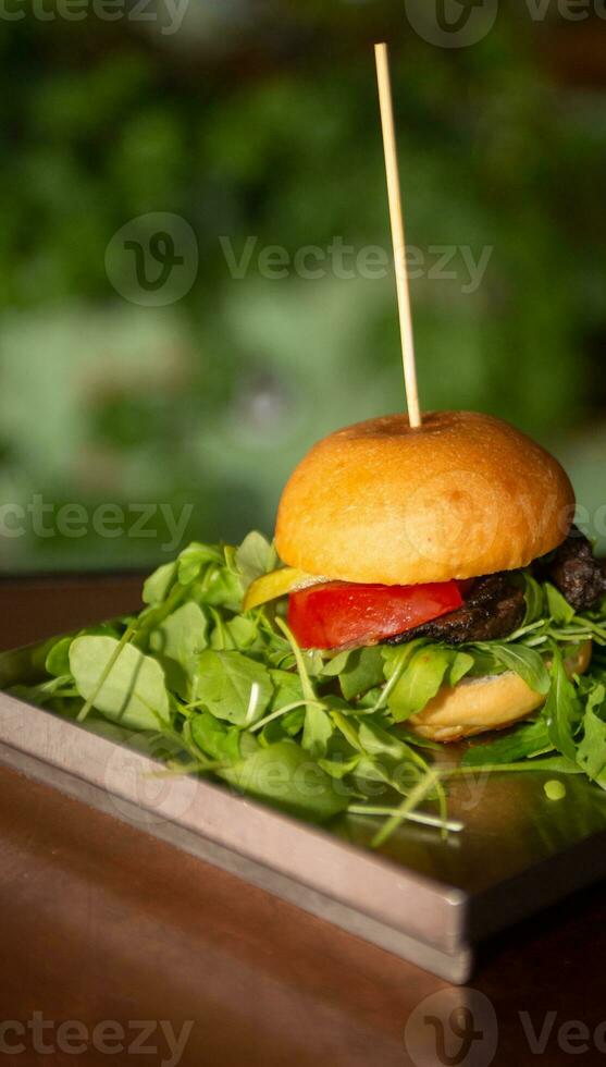 Hamburger Slider with Salad photo