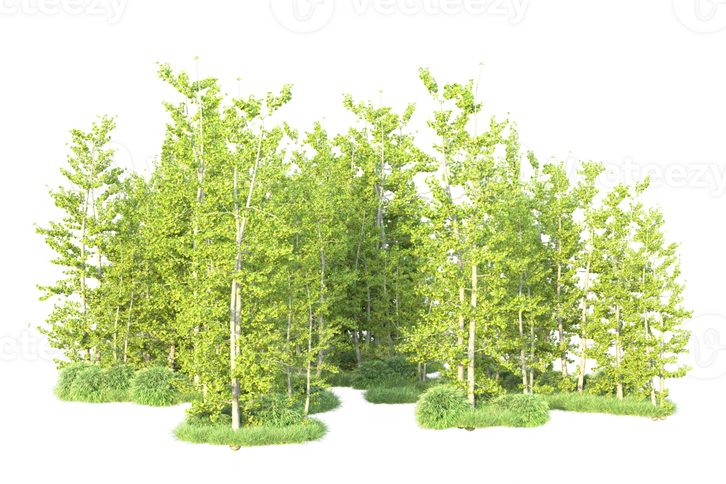 Tropical forest isolated on transparent background. 3d rendering - illustration png