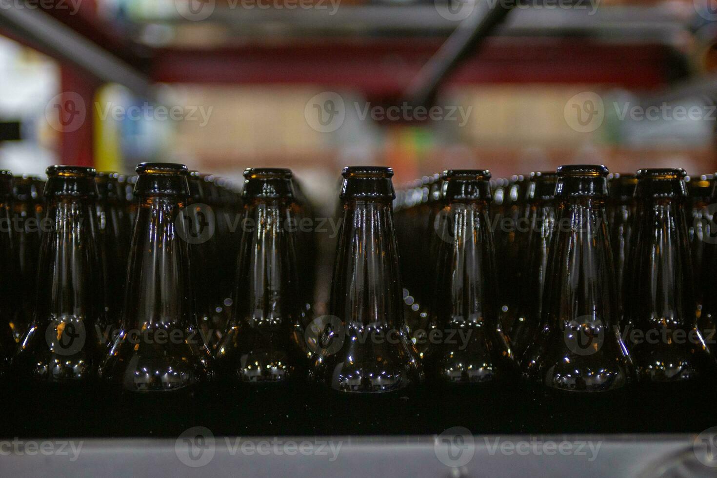 Empty Beer Bottles photo
