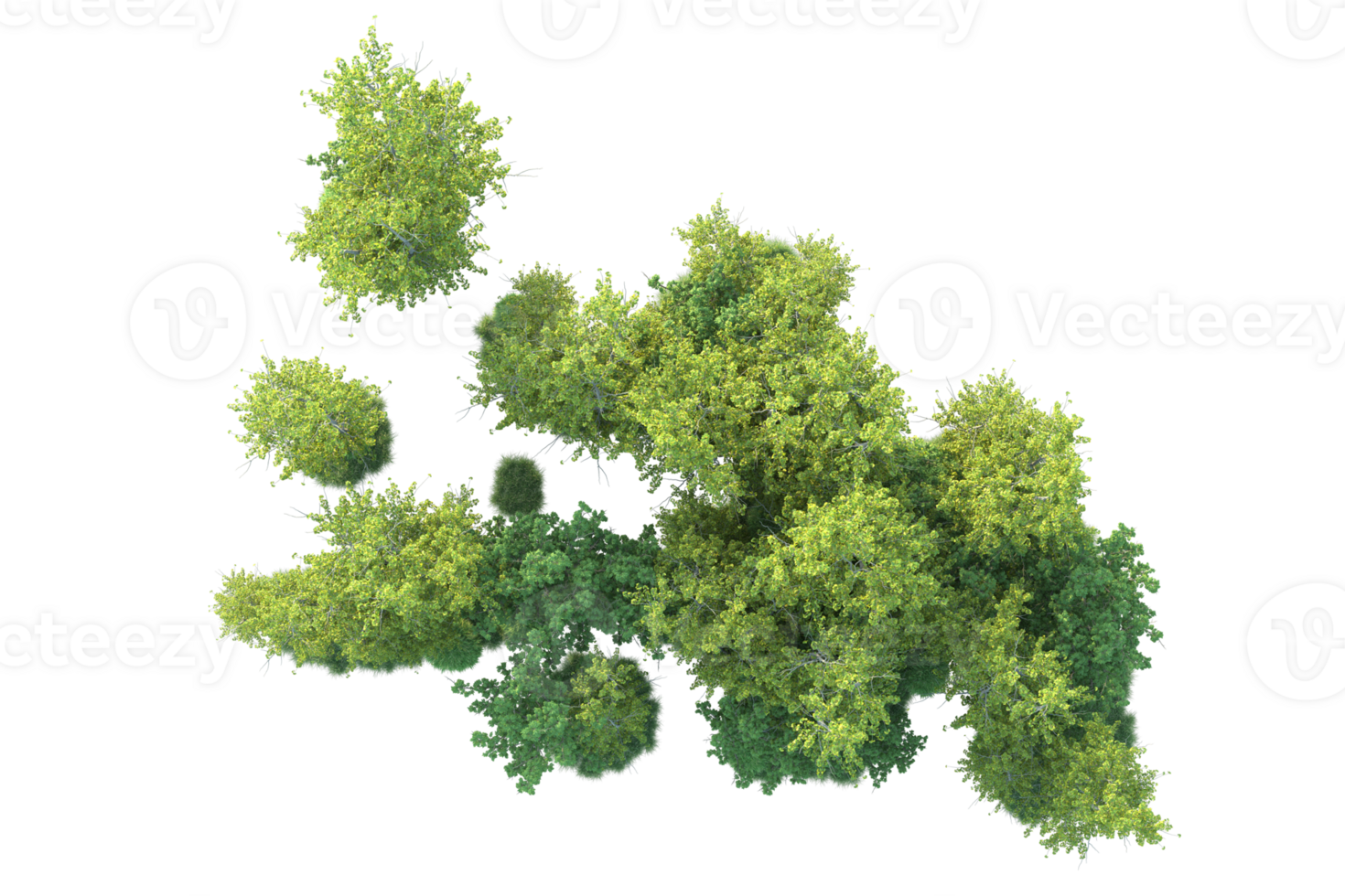 Tropical forest isolated on transparent background. 3d rendering - illustration png