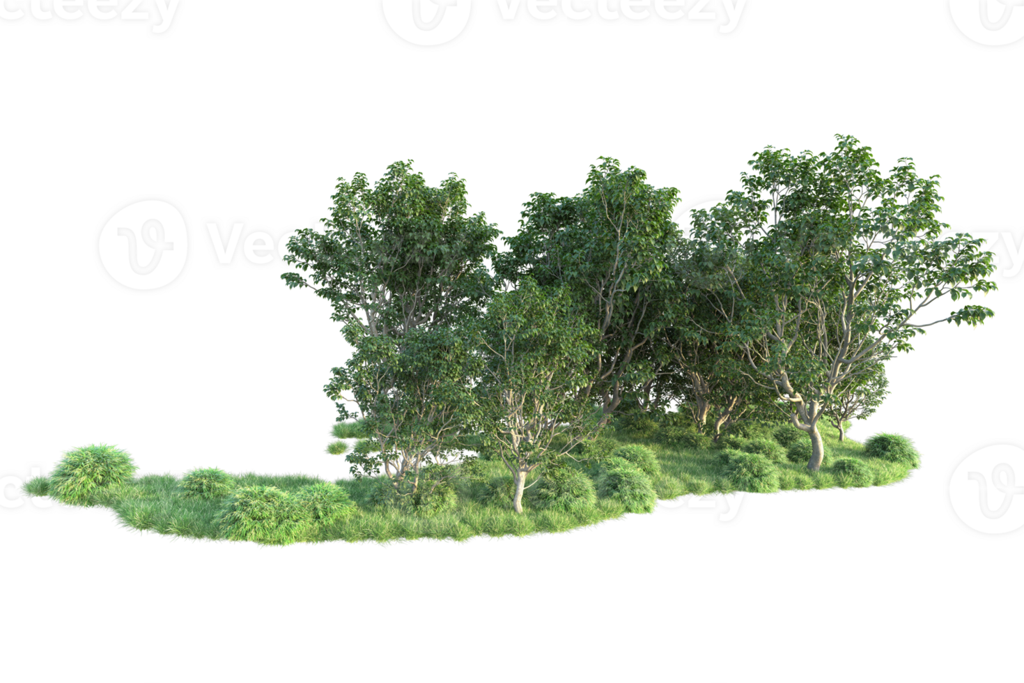 Tropical forest isolated on transparent background. 3d rendering - illustration png