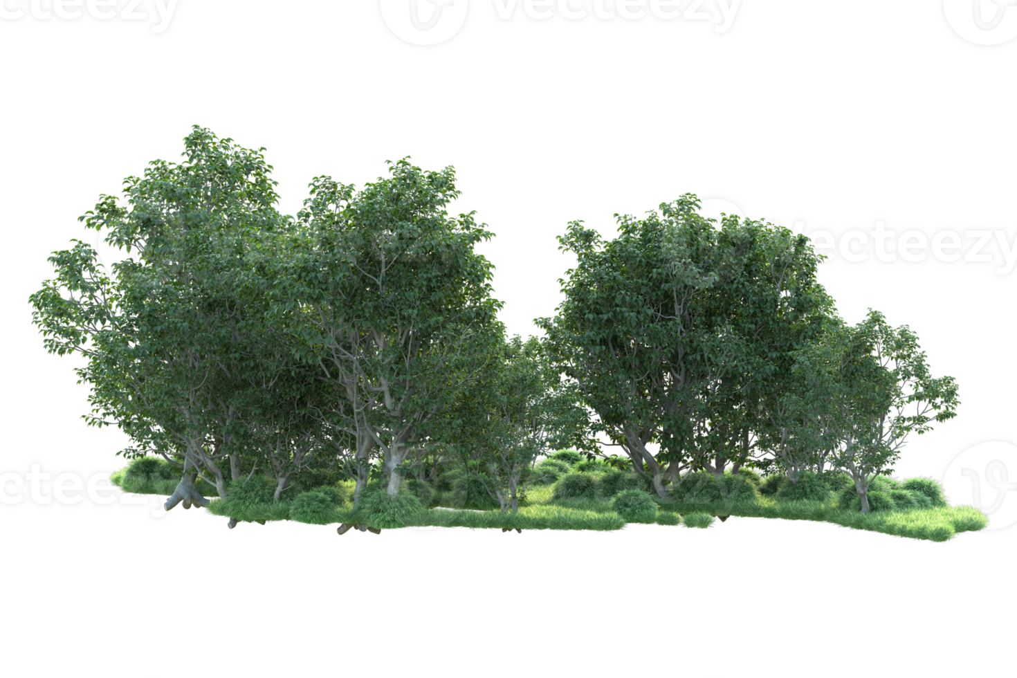 Tropical forest isolated on transparent background. 3d rendering - illustration png