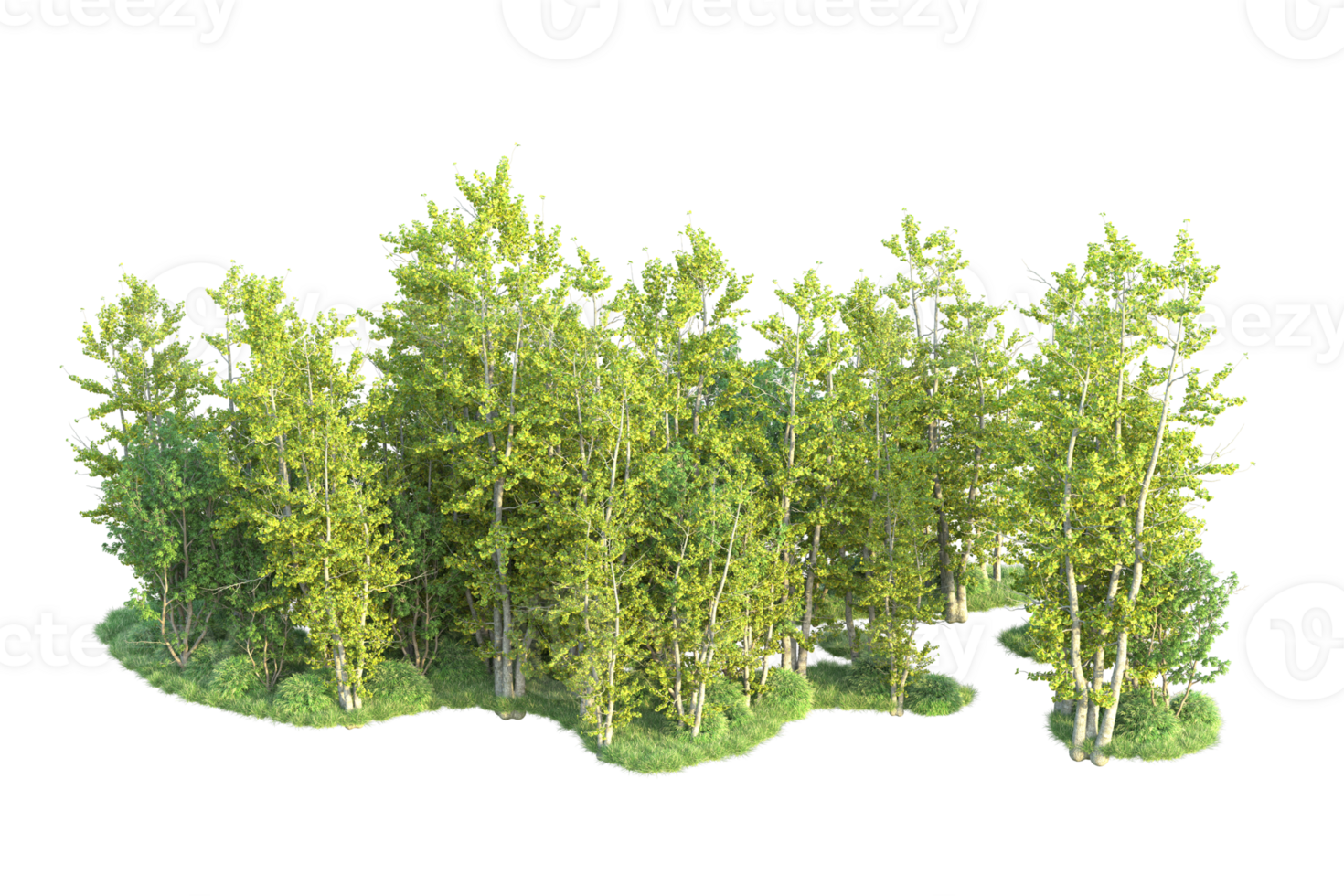 Tropical forest isolated on transparent background. 3d rendering - illustration png